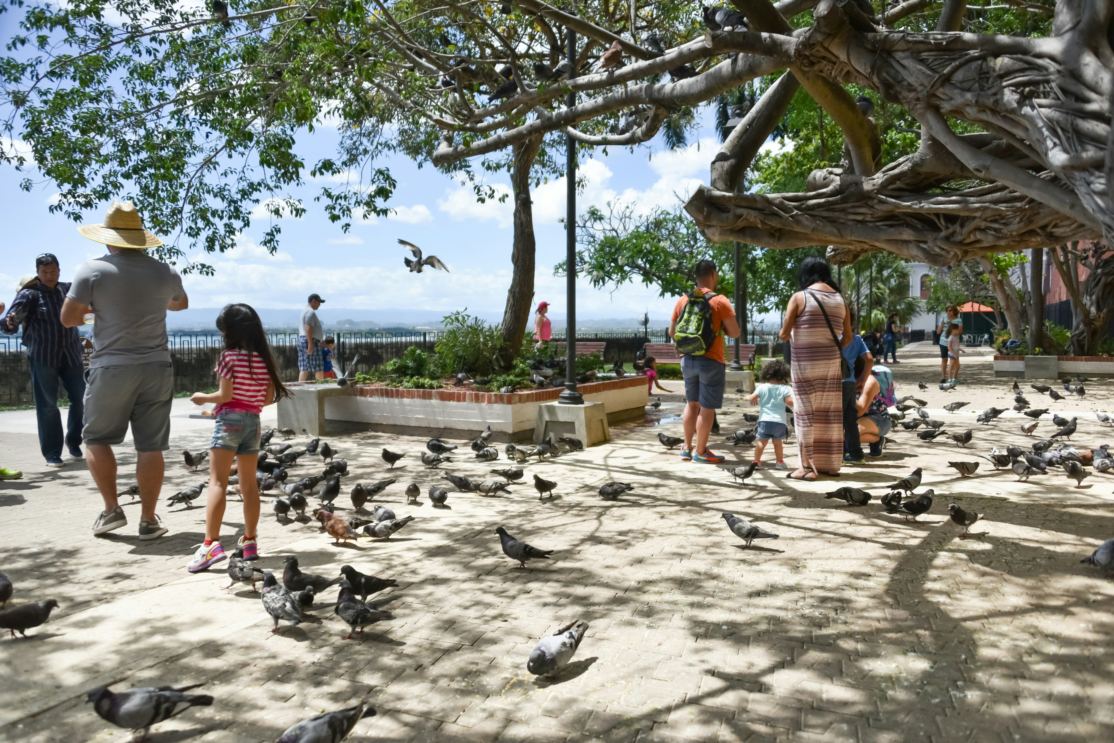 Visitors take a break in the Parque las Palomas