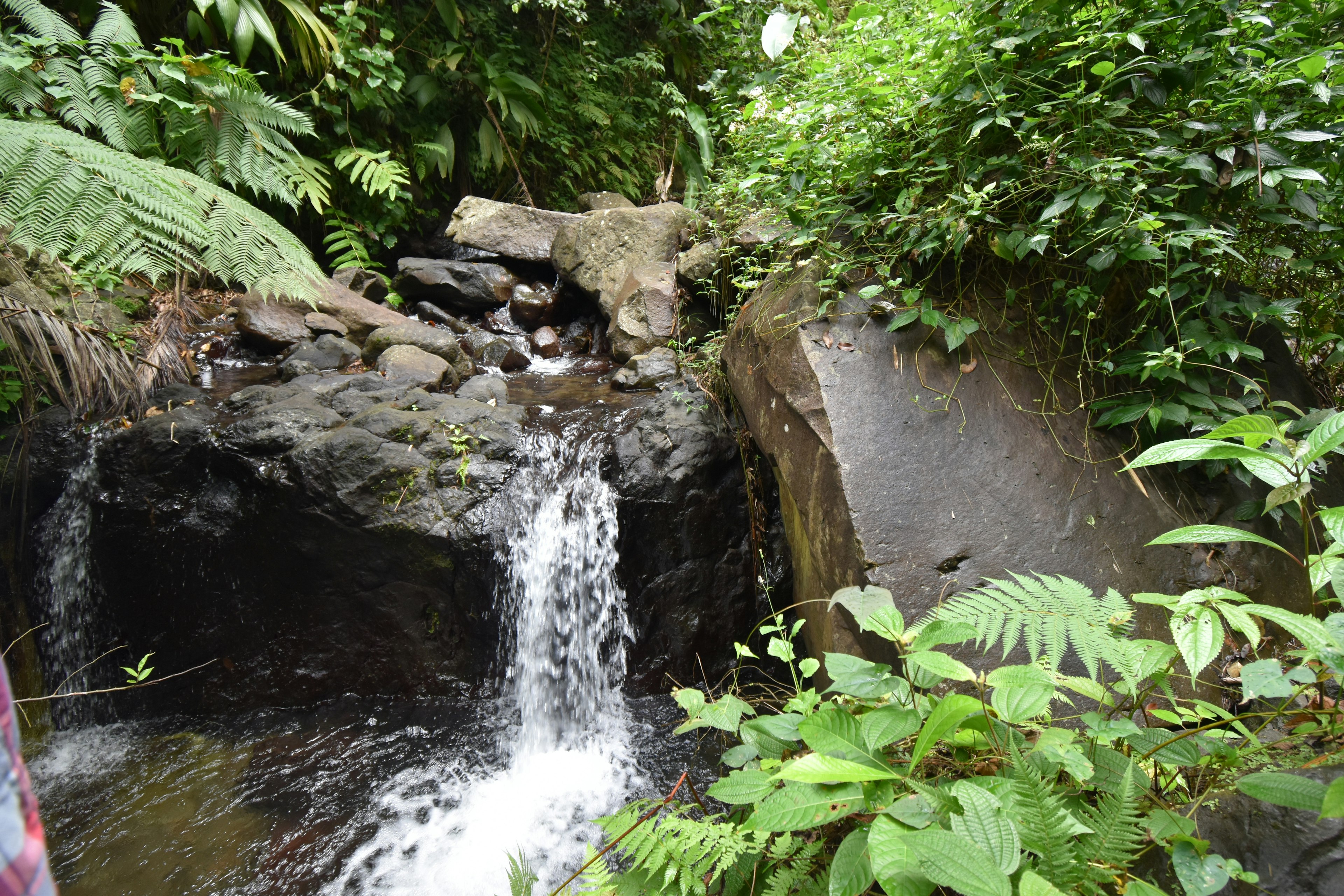 A close-up view of Dark View Falls on the island of St Vincent