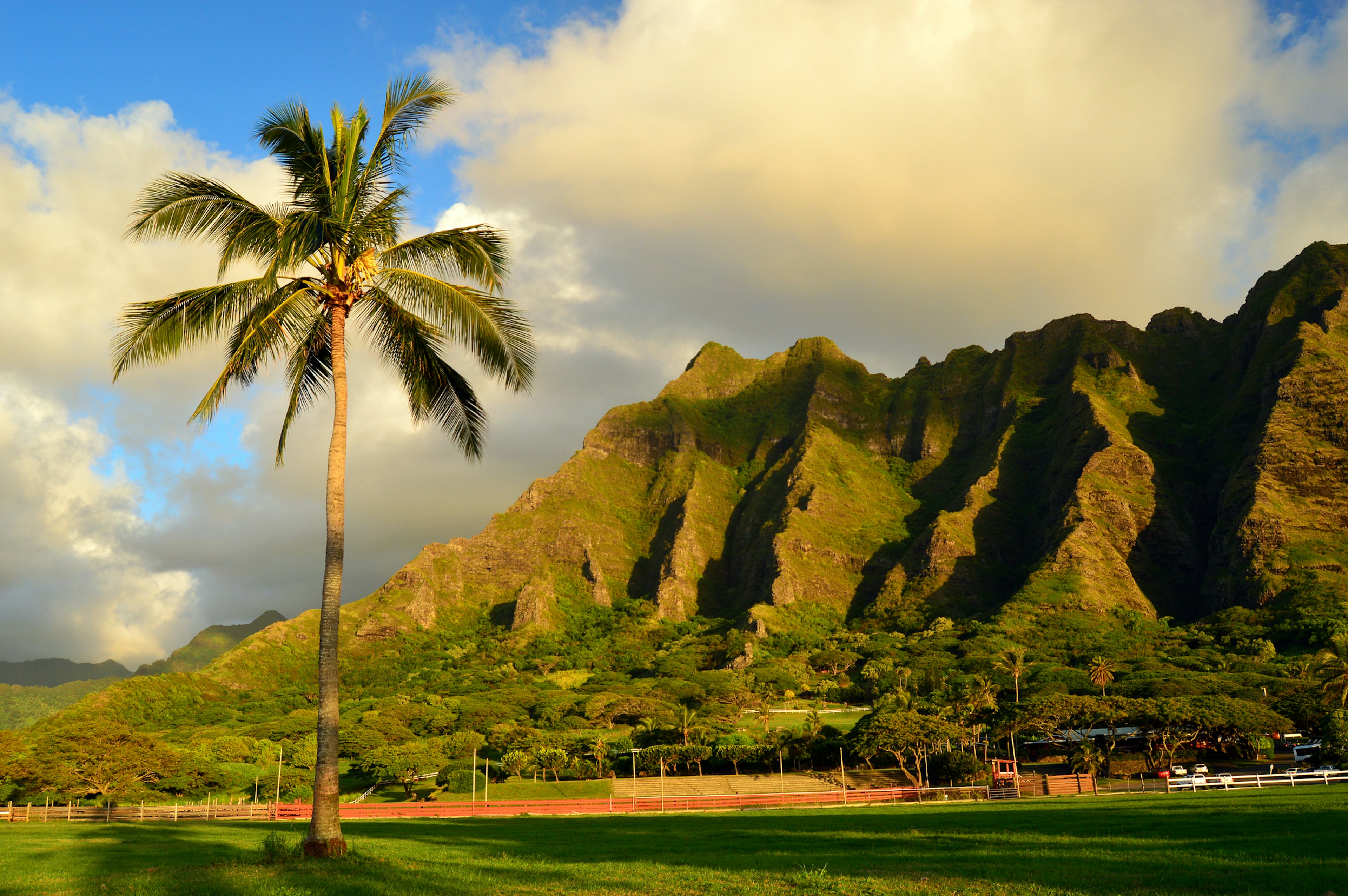 A jungle-like landscape with high peaks covered in dense vegetation rising up high