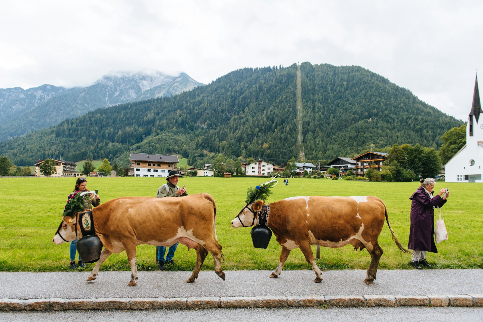 Two cows dressed in costume walk by onlooking spectators in the Austrian Alps
