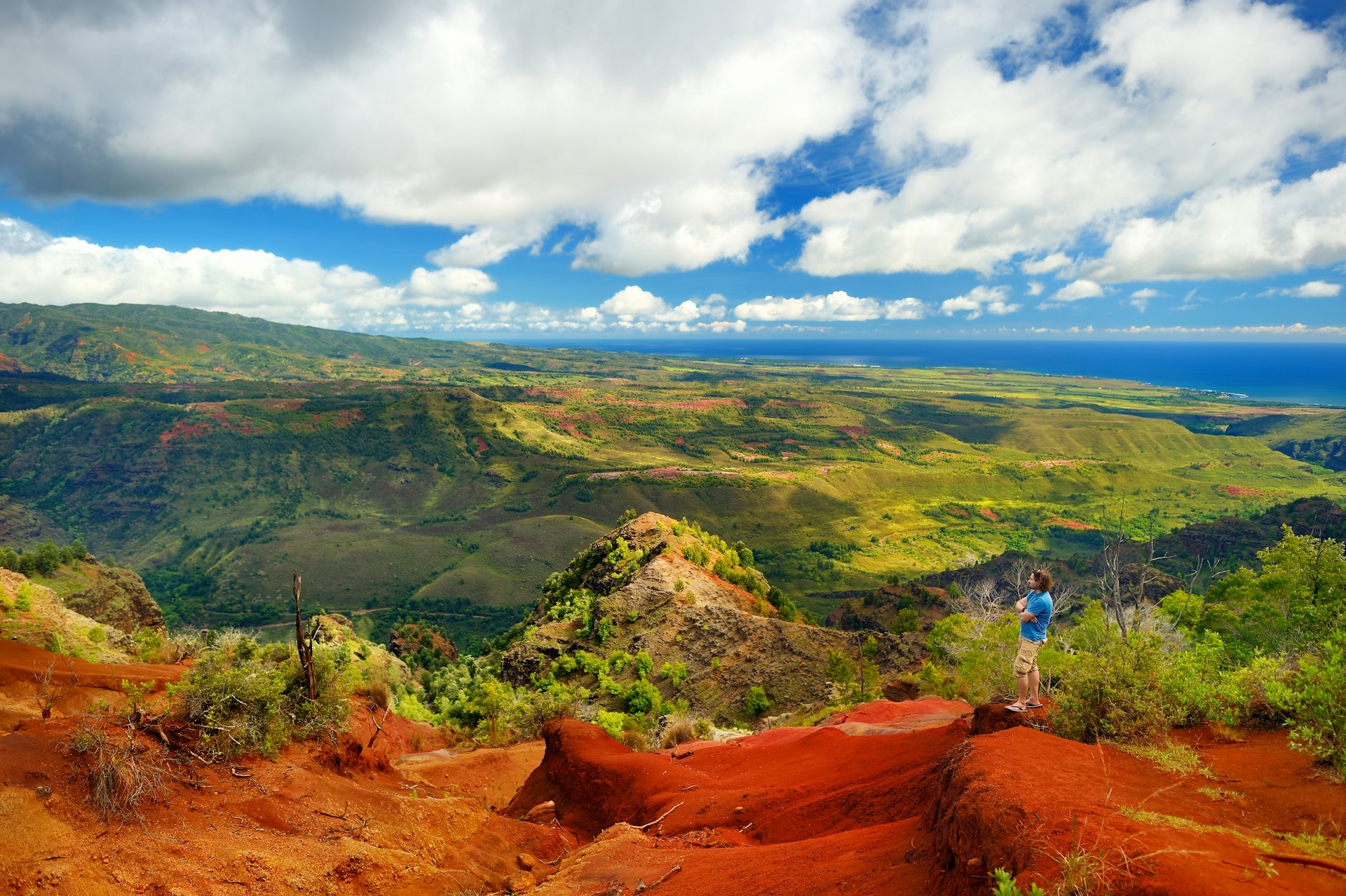 A man gazes out on a red and green canyon landscape that stretches out to the blue of the ocean