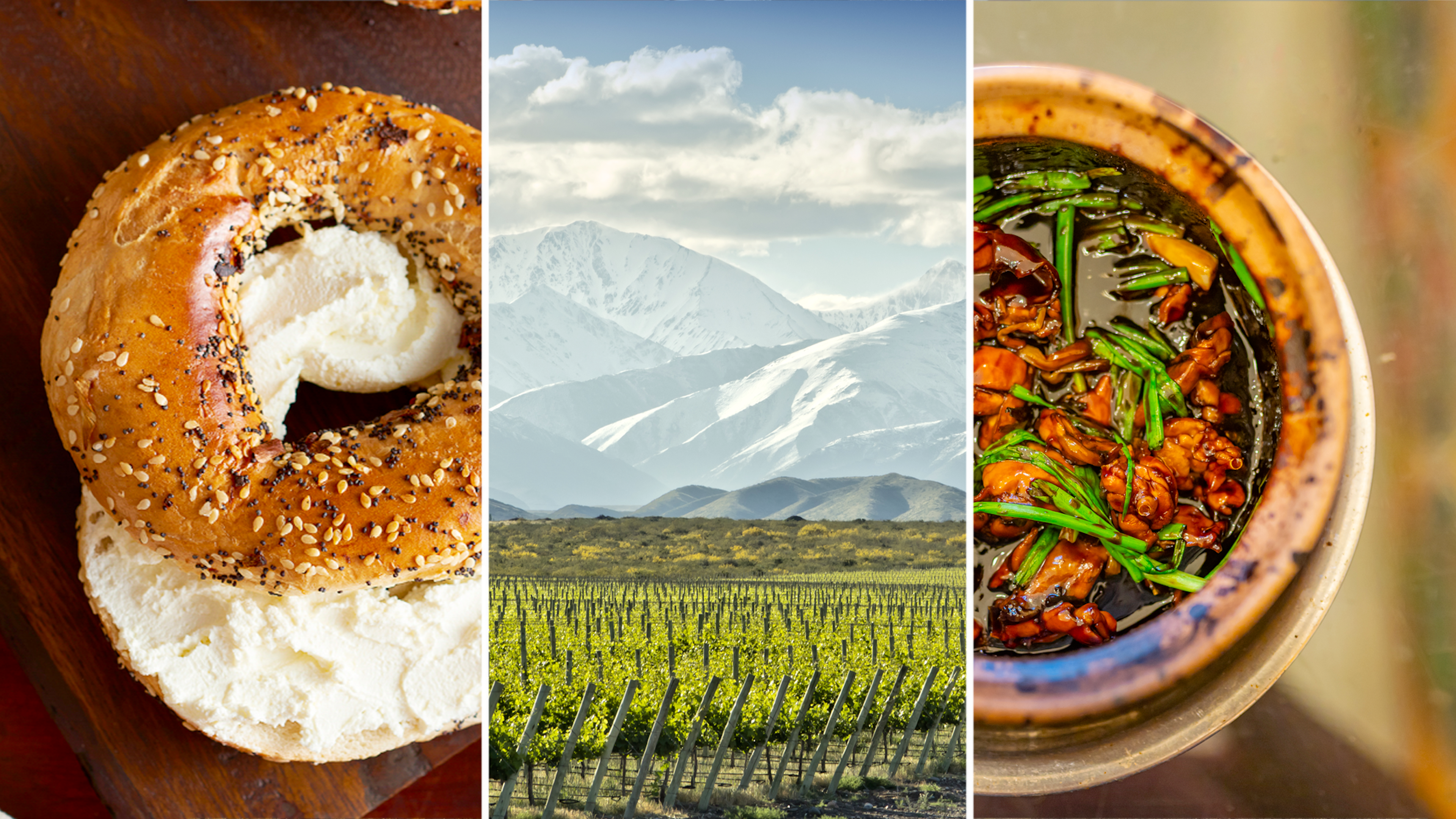 A famous Montreál bagel, vineyards in Argentina's wine country, and Singapore braised frog and spring onion in clay pot.