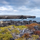 Galapagos Islands 2022