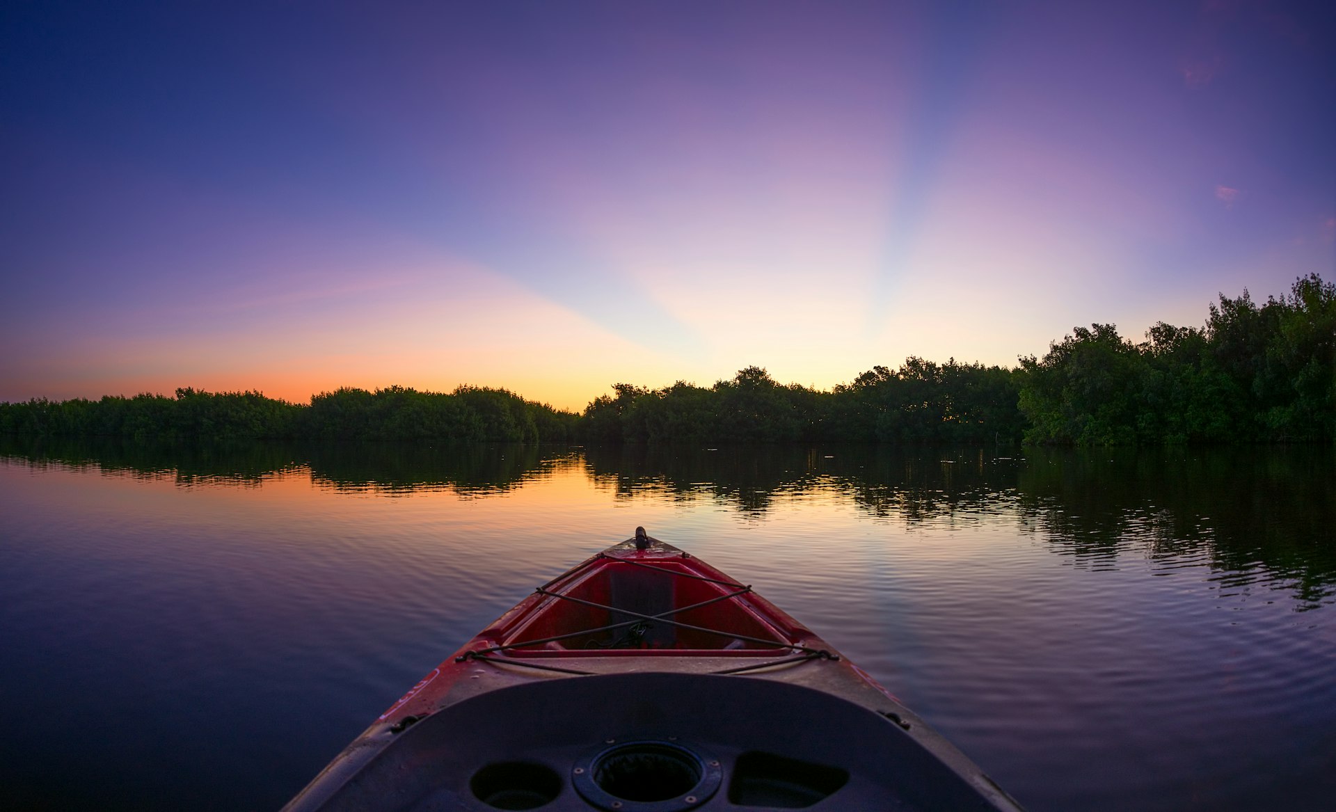 ท้องฟ้าสีม่วงอมชมพูยามพระอาทิตย์ขึ้นมองเห็นได้จากด้านหน้าของเรือแคนูในน้ำนิ่งที่ Fakahatchee Strand Preserve State Park, Florida, USA