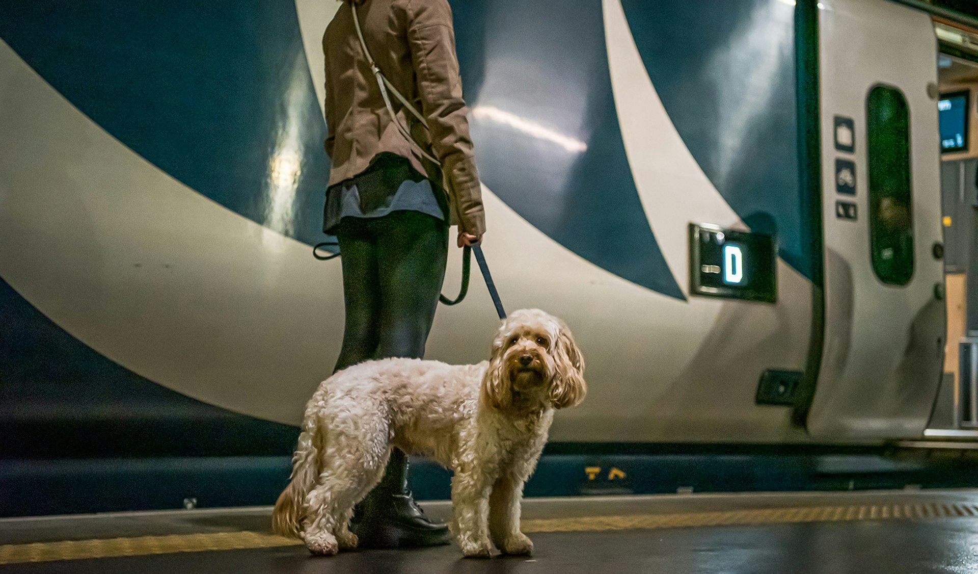 A person holds a dog a leash on a train-station platform, both about to to board the Caledonian Sleeper overnight train between London and Scotland