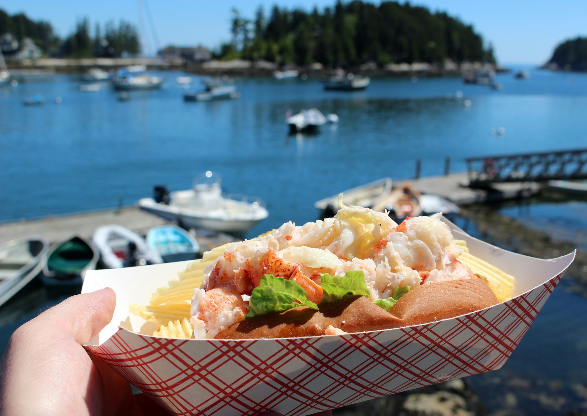 A person holds a small dish of lobster and chips up in front of a waterfront scene