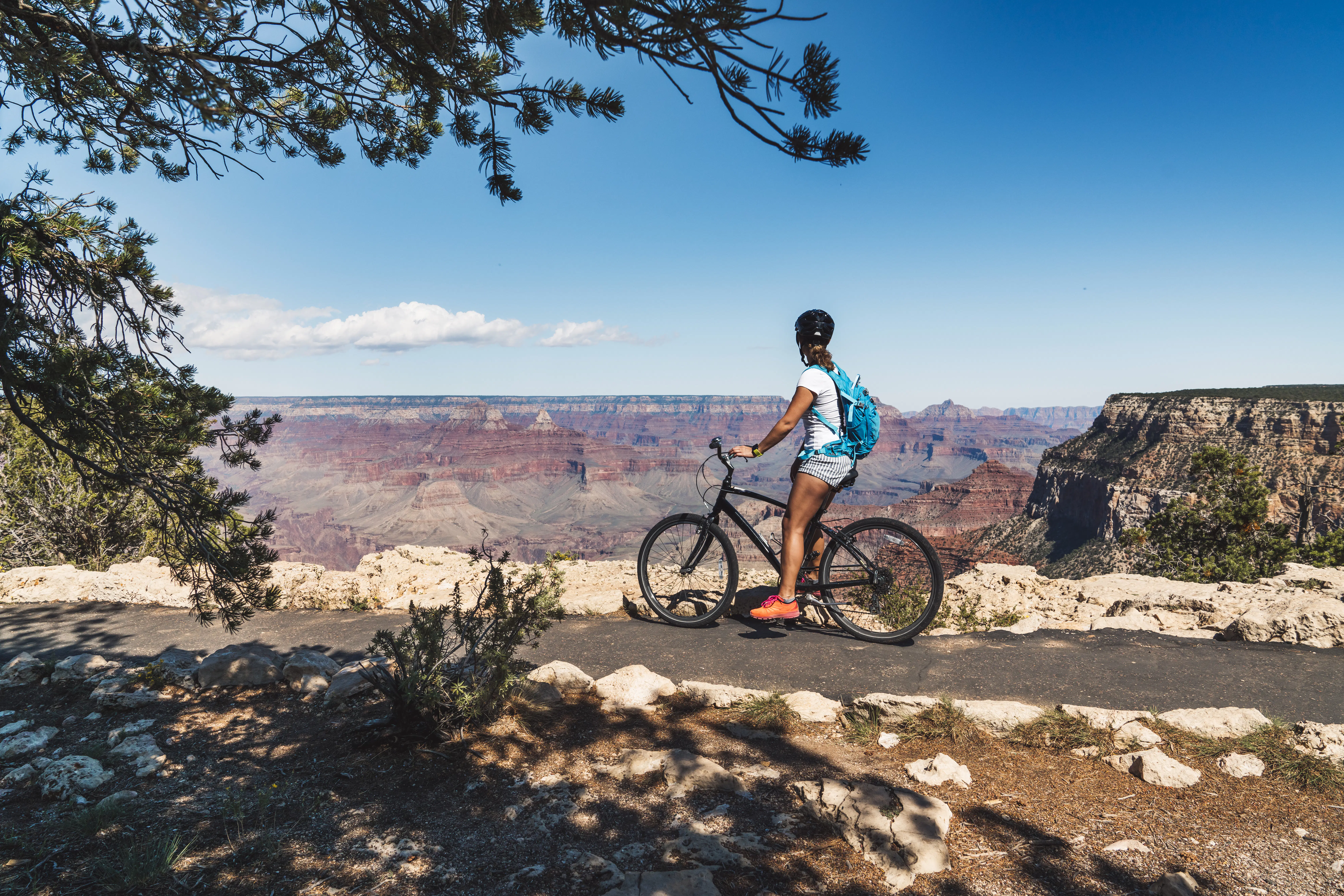 The 18 best things to do in Grand Canyon National Park - Lonely Planet