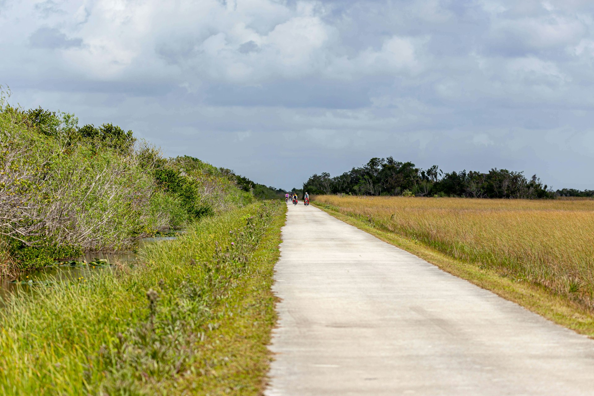 People biking on a paved trail through low scrubby-looking terrain on a cloudy day