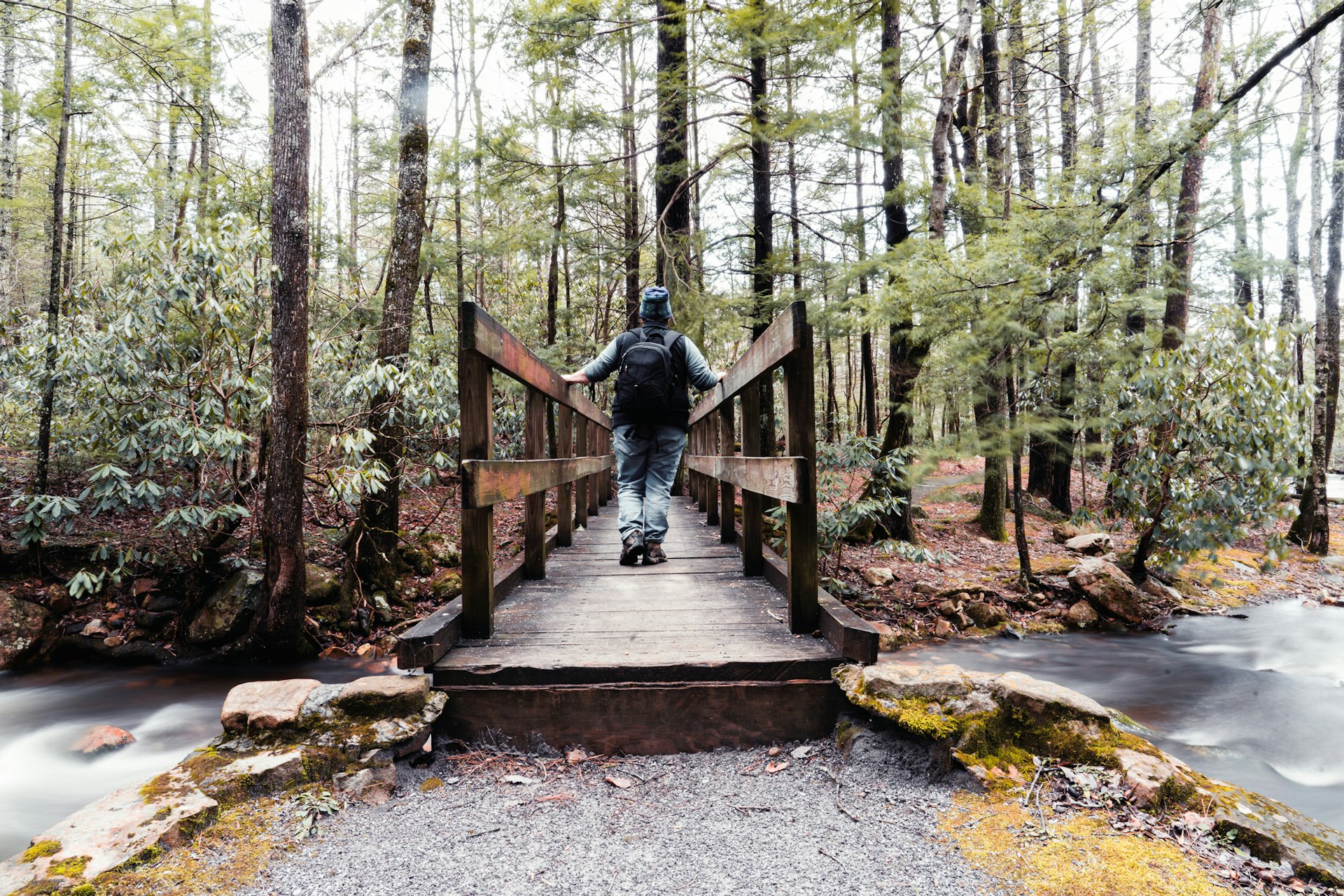 A hiker stands on a wooden bridge surrounded by forest