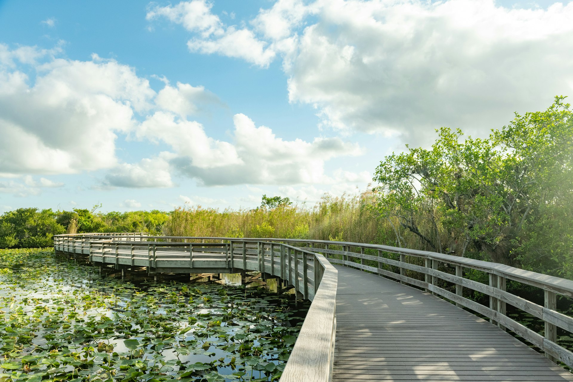 The Everglade Green Trailhead - Everglade Green