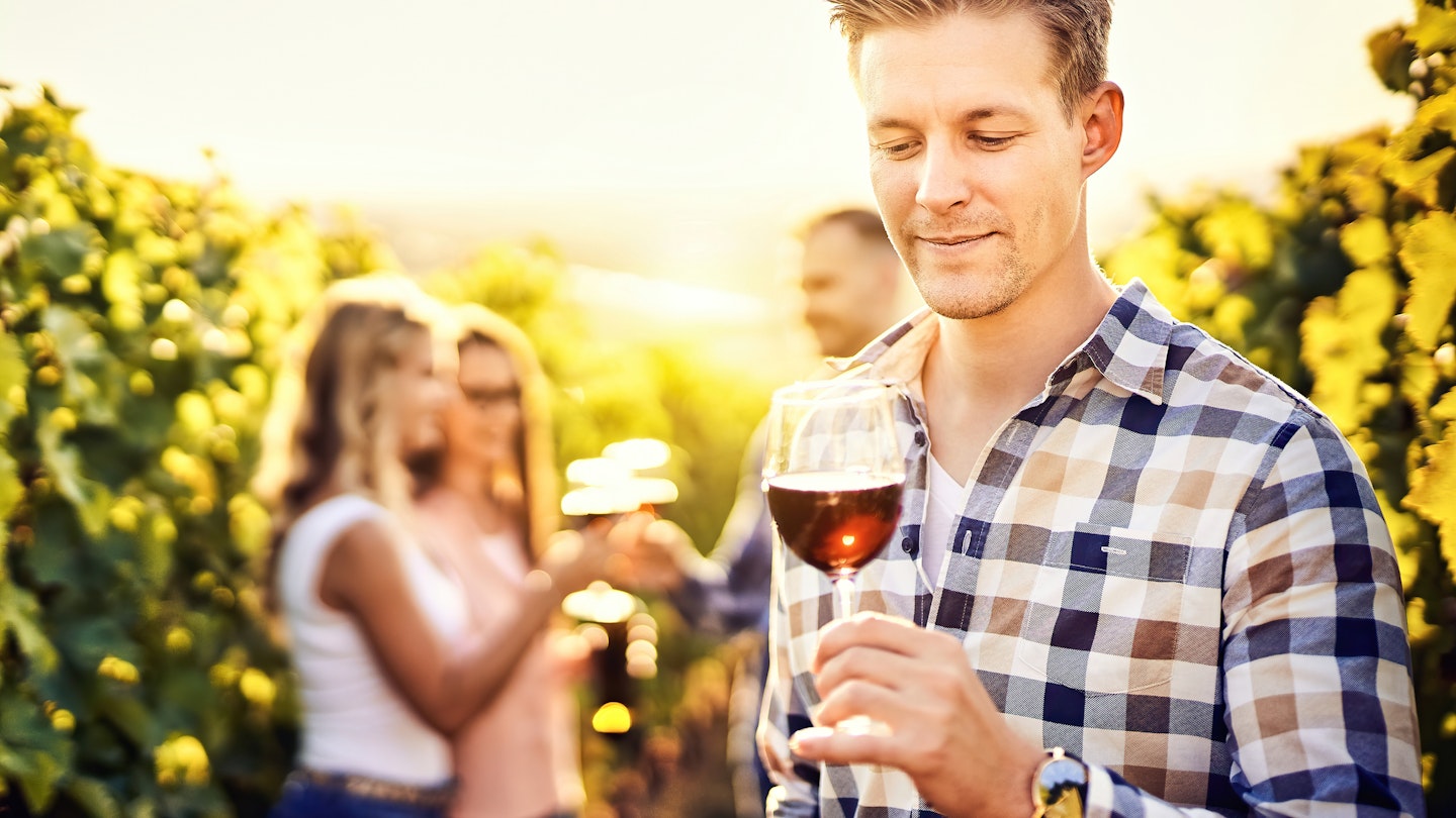 Portrait of a young, millennial vintner holding and smelling a glass of organic bio red wine outdoors in a vineyard with his friends in the background - Vine-growing, and wine-tasting concept
1368812551