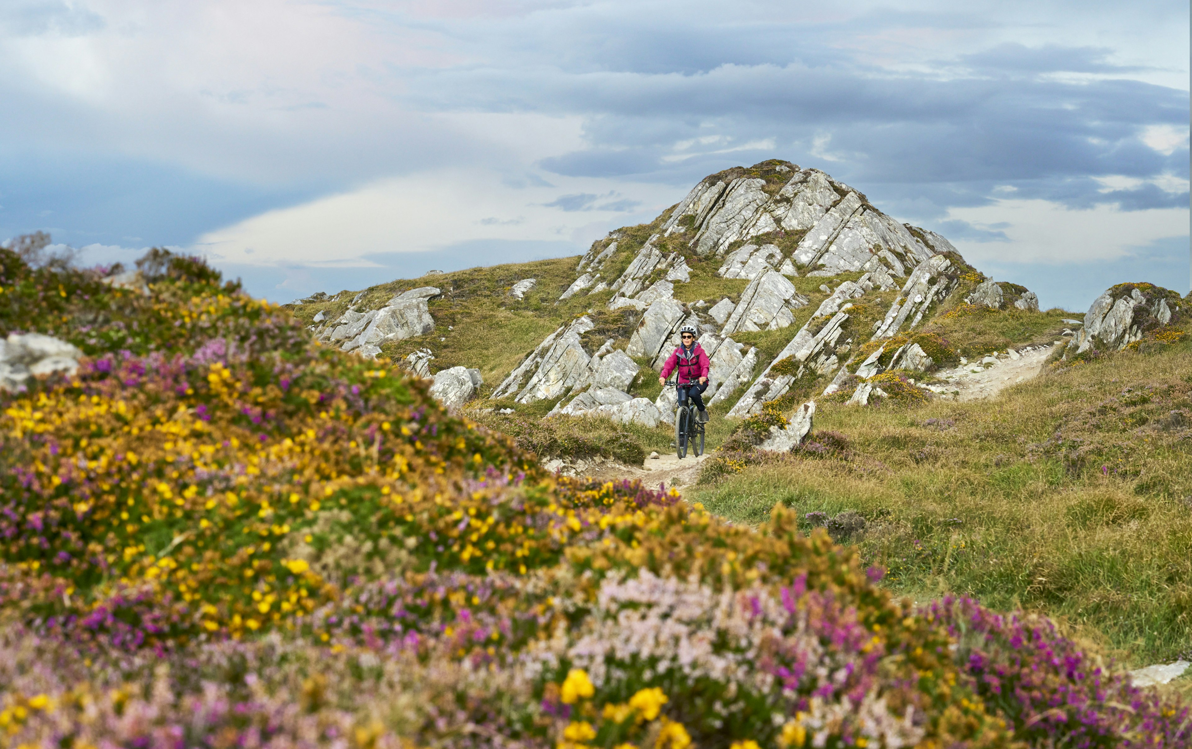 nice senior woman on mountain bike, cycling in sunset on the cliffs of Sheeps Head, County Cork