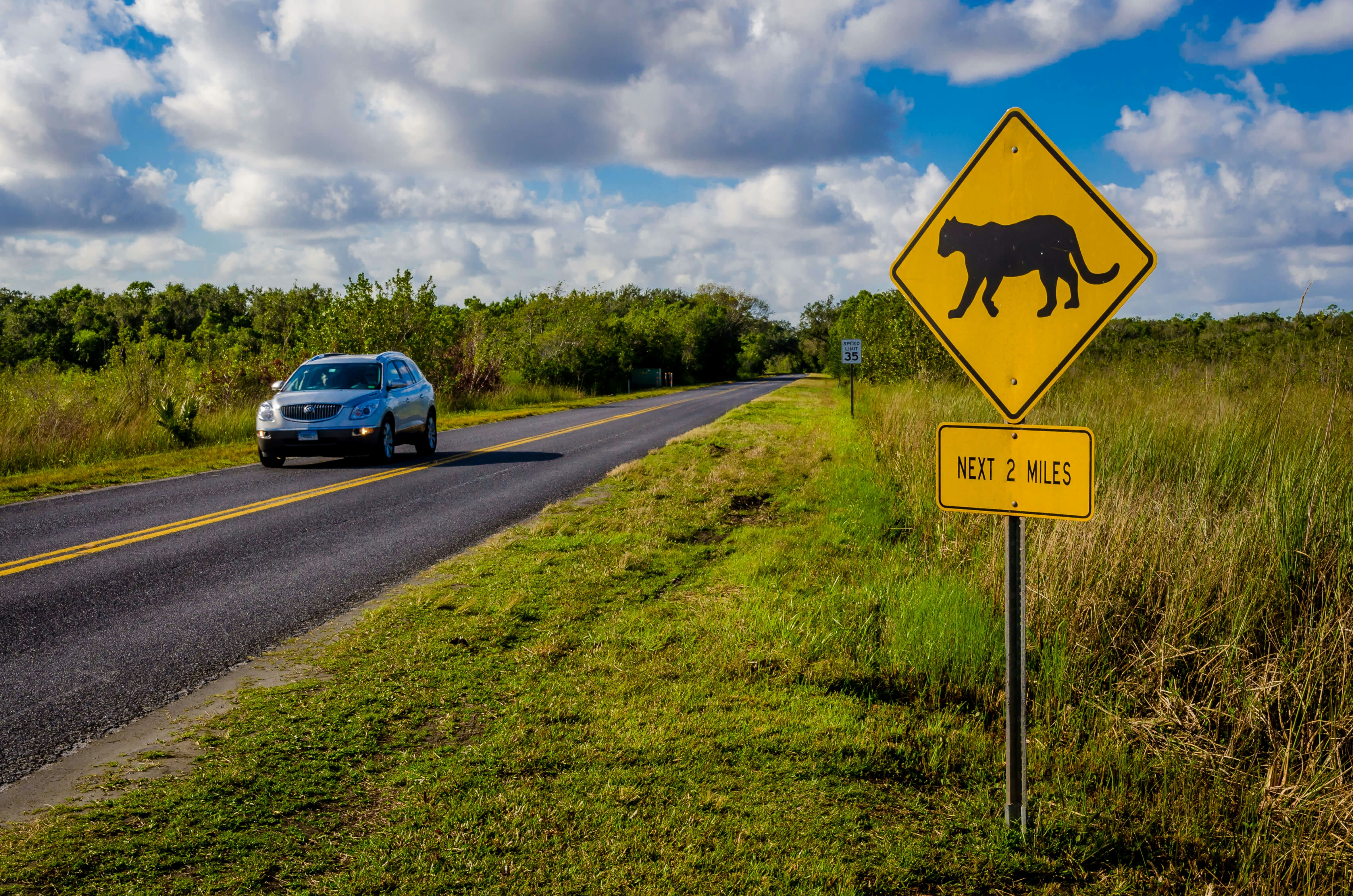 A car driving by a panther crossing sign at Everglades National Park, Florida.