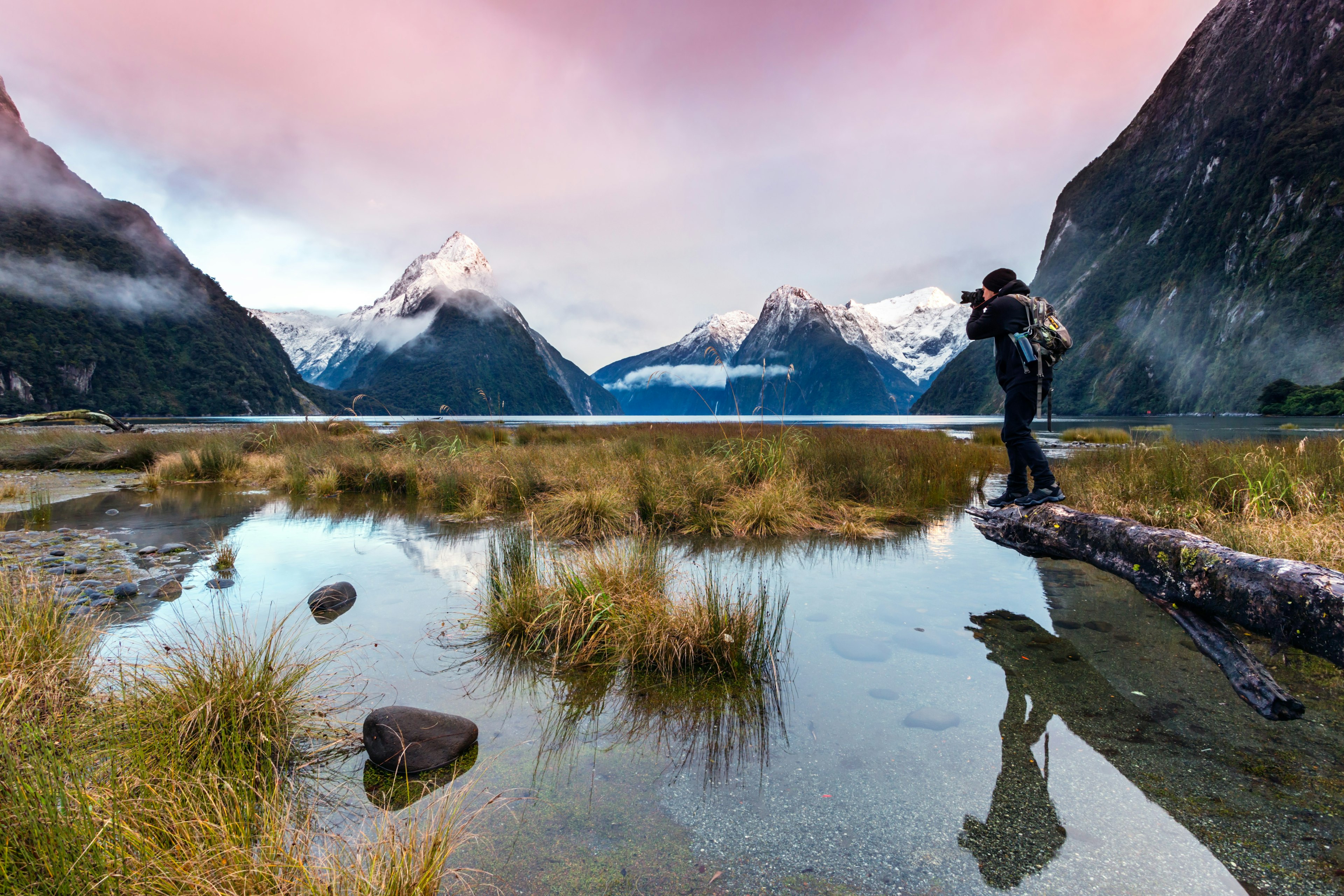 Man photographing sunset at Milford Sound, Fiordland National Park, Southland, New Zealand