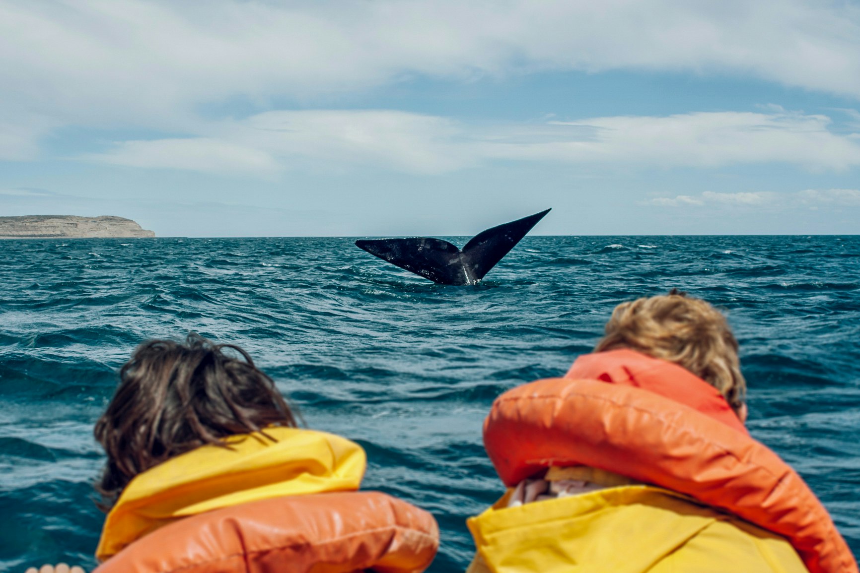 People in a boat, enjoying a whale watching in Alaska