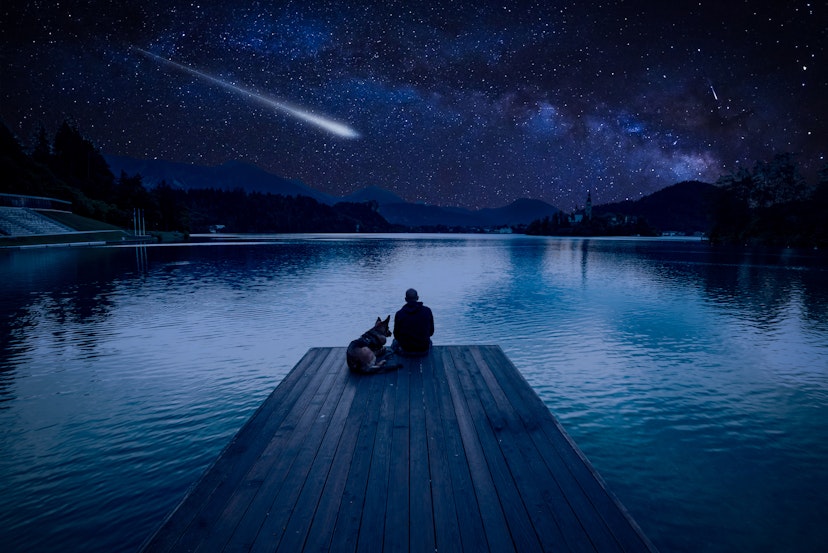 Man with dog looking at Perseid Meteor Shower at lake Bled; Shutterstock ID 1152872222; your: Brian Healy; gl: 65050; netsuite: Lonely Planet Online Editorial; full: Best celestial events of 2023
1152872222
admiring, adventure, asteroid, astro, backpack, camp, comet, constellation, couple, dark, dog, enjoying, europe, experience, falling star, falling stars, freedom, friends, friendship, fun, galaxy, german shepherd, happiness, happy, hiking, landscape, lifestyle, majestic, meteor, meteor shower, meteorite, milky way, mountain, nature, night, observe, outdoor, overlooking, perseid, shooting, shooting star, shooting stars, shower, silhouette, sky, space, star, together, togetherness, view