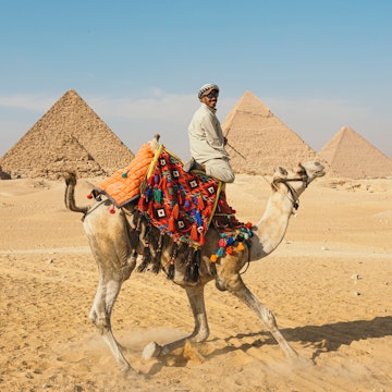 A camel driver in front of the Pyramids of Giza.