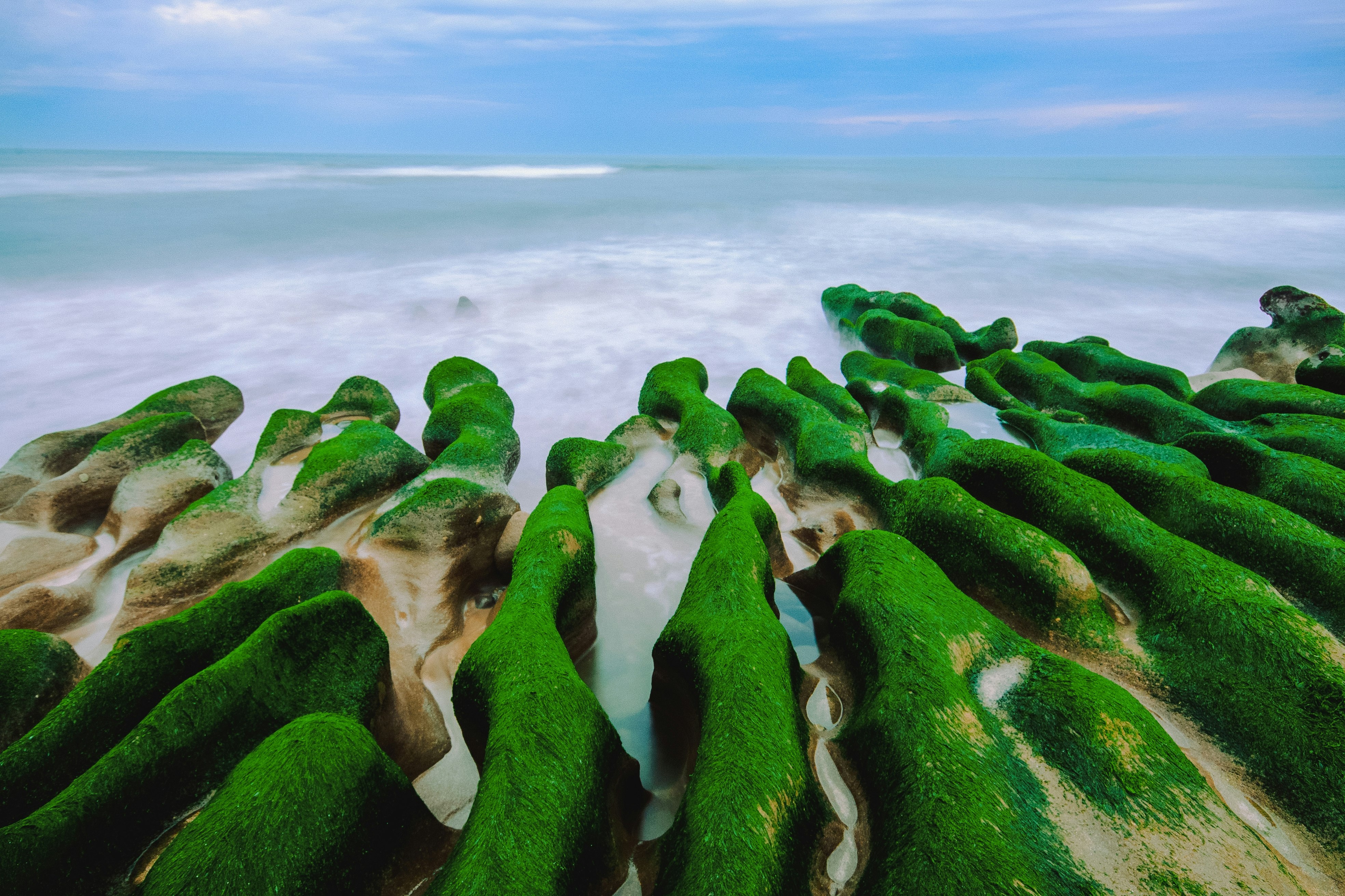 Green algae covering rocks on the shoreline