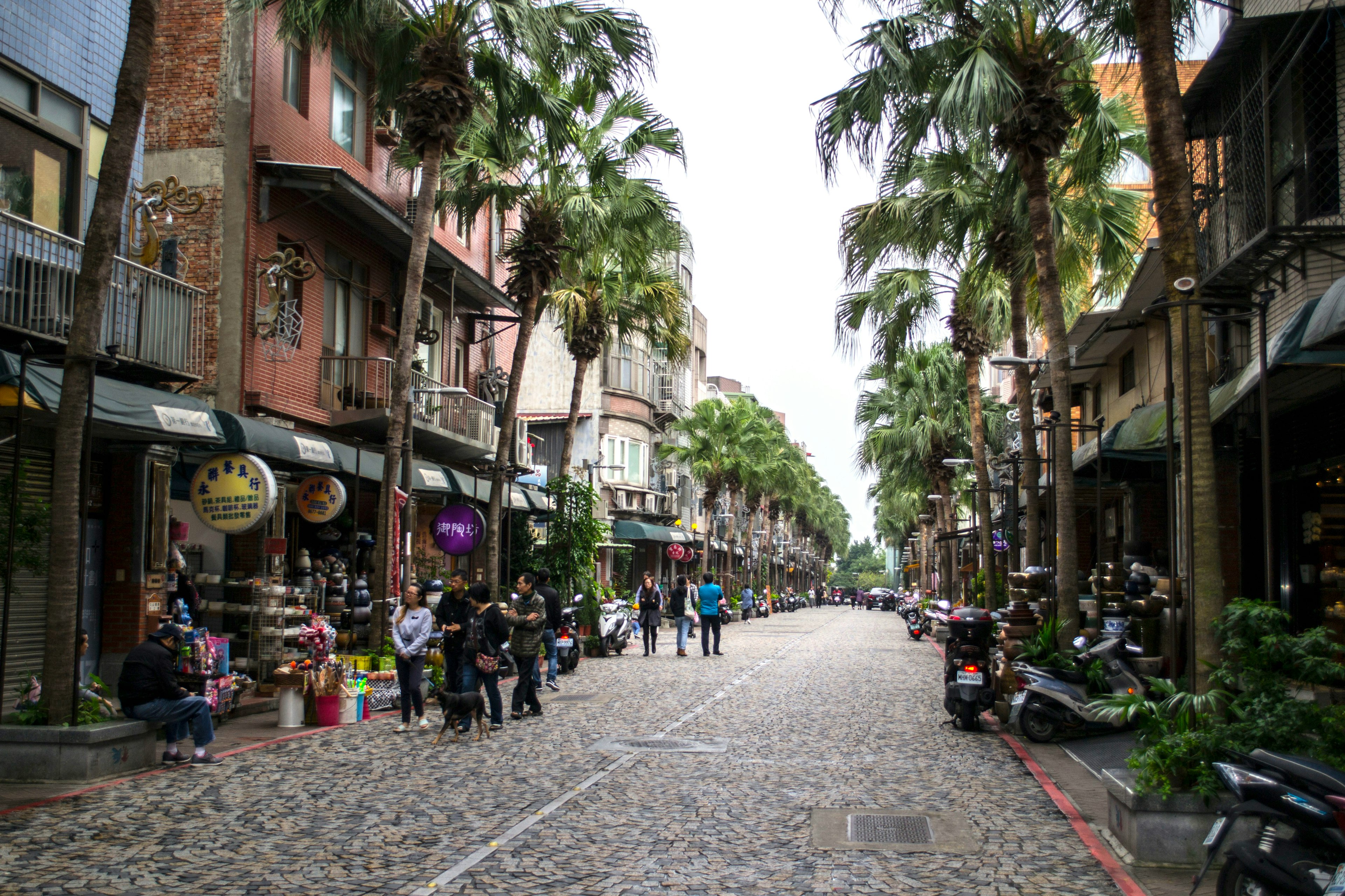 People and scooters on Yingge Ceramics Old Street, lined with tall palm trees and old buildings