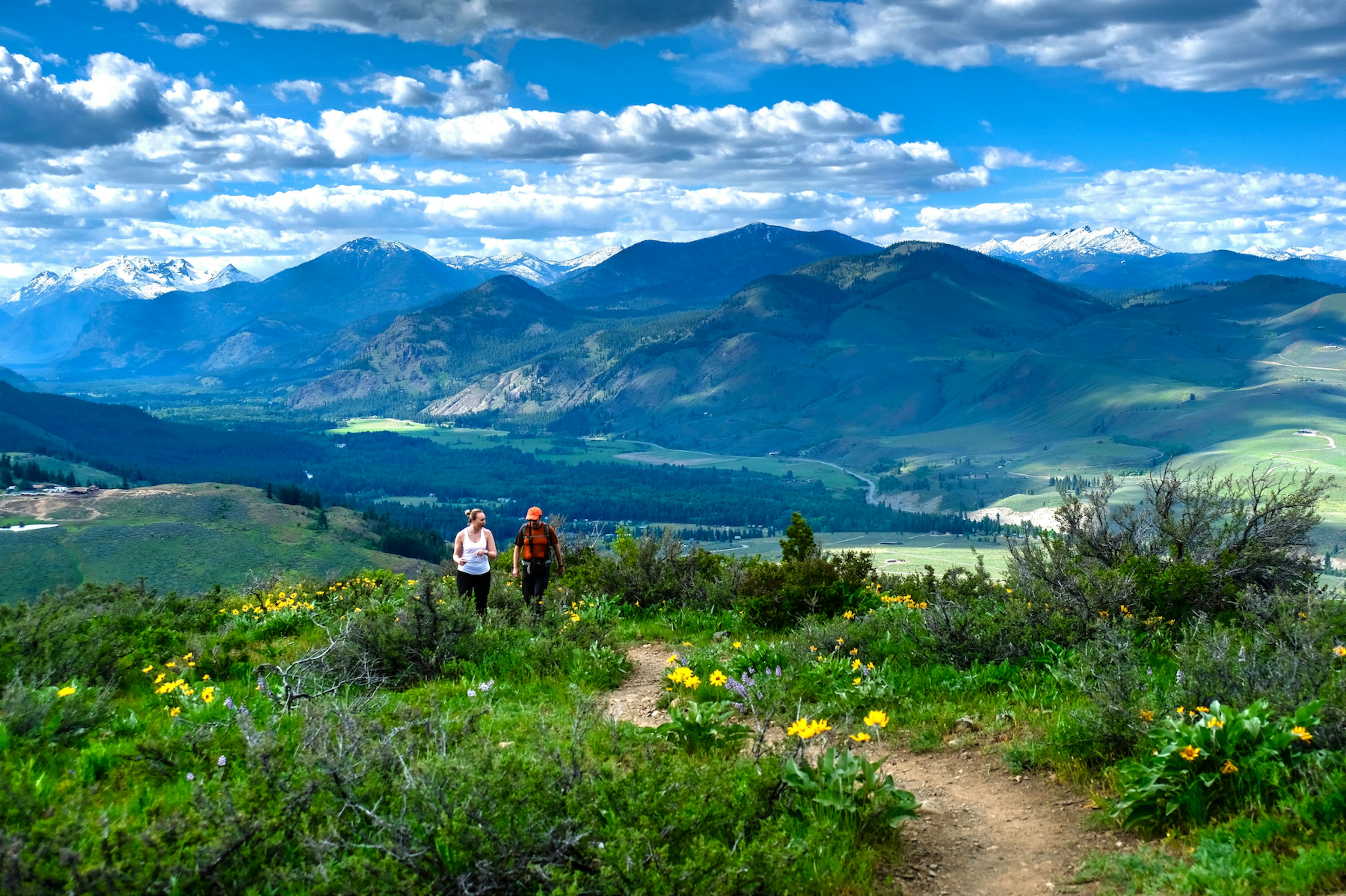 A couple walks together on meadows with mountain peaks in the distance in North Cascades National Park, Cascade Mountains, Washington, USA