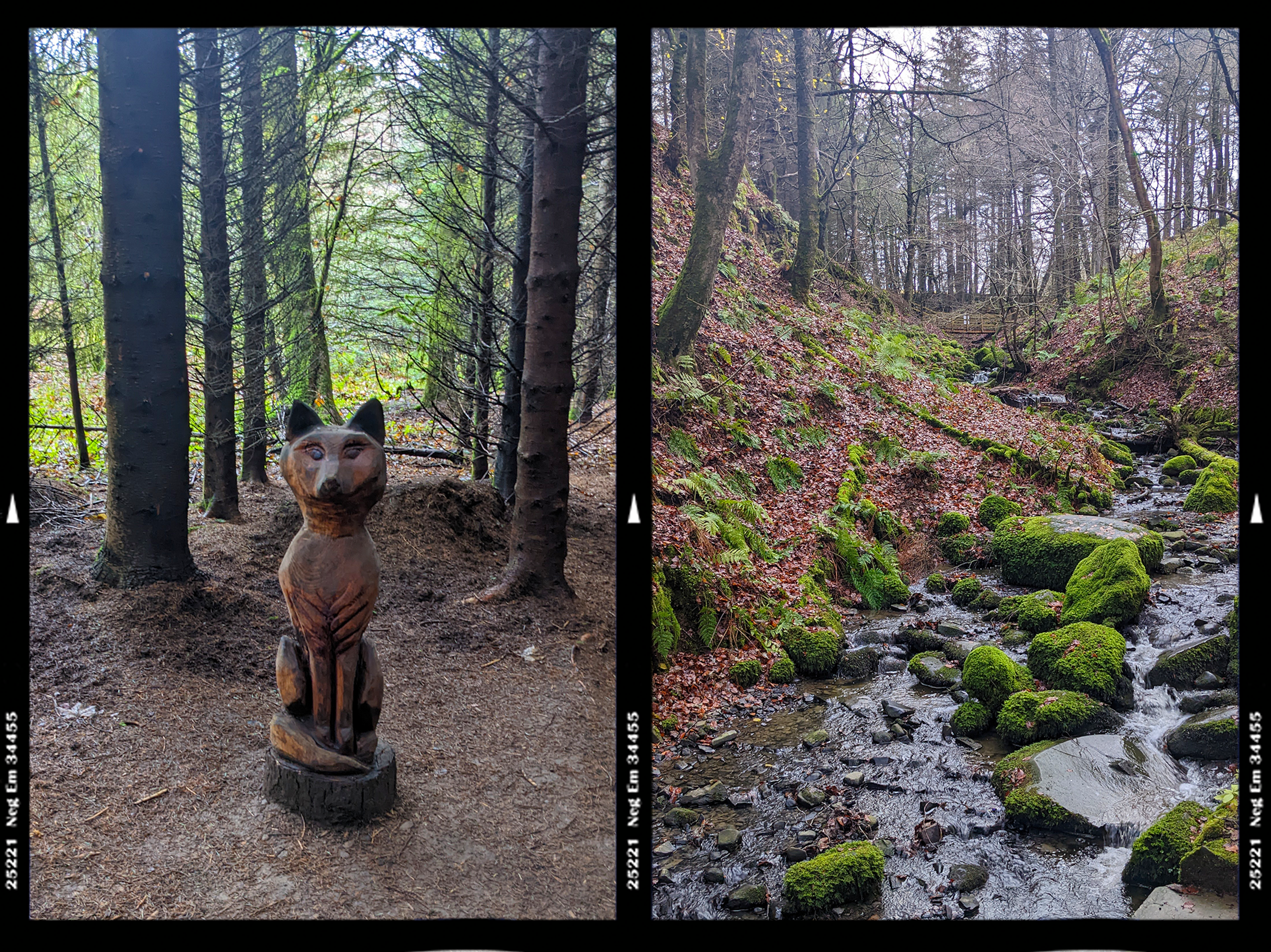 Nature trail with carved fox and stream