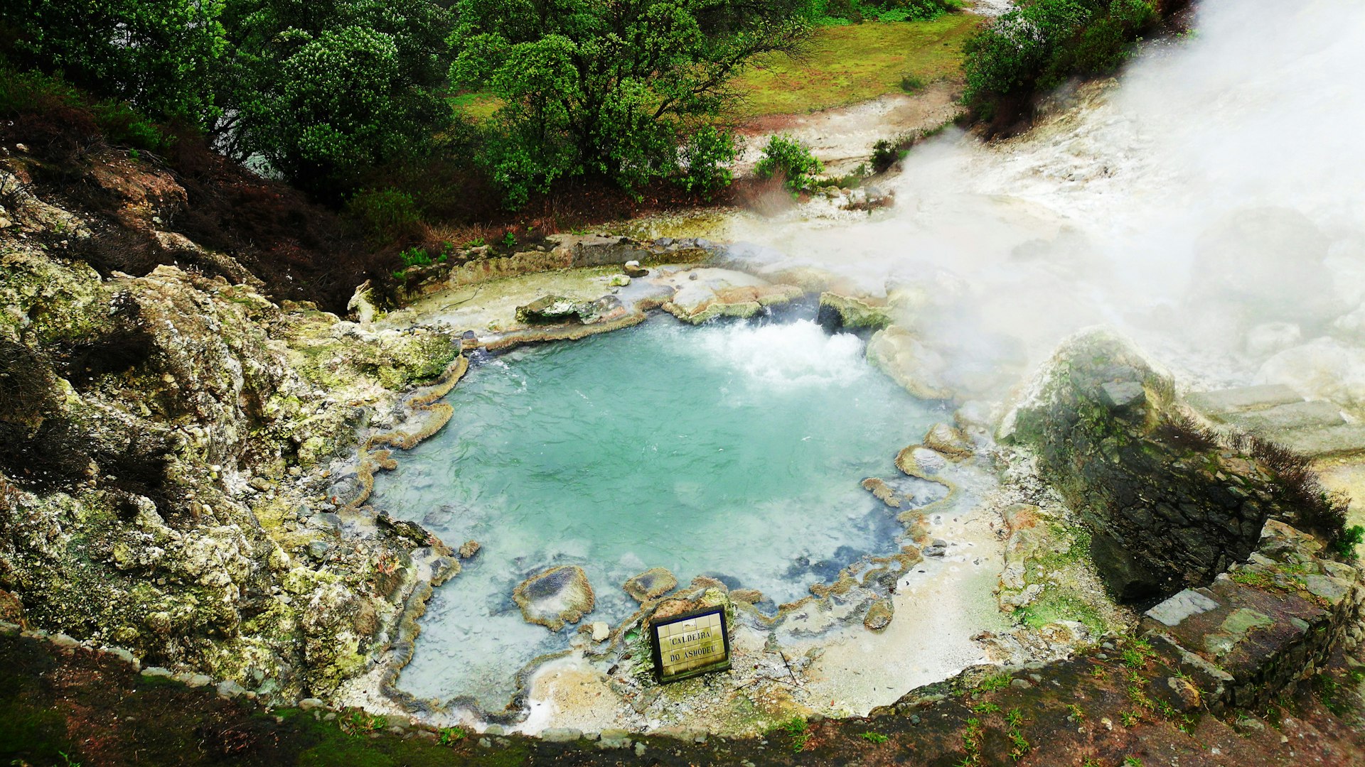 A steaming hot spring in lush greenery. 