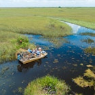 JULY 2019: Airboat tour takes a break in the Everglades National Park.
1455694103
airboat, airboat everglades, alligator, alligator head, american alligator, animal, animals, big cypress, big cypress national preserve, crocodile, everglades aerial, everglades airboat, everglades florida, florida, grass, green, miami, national park, nature, nature landscape, park, shark valley, summer, swamp background, swamp grass, swamp trees, swamp water, swamps, tourism, travel, wildlife
