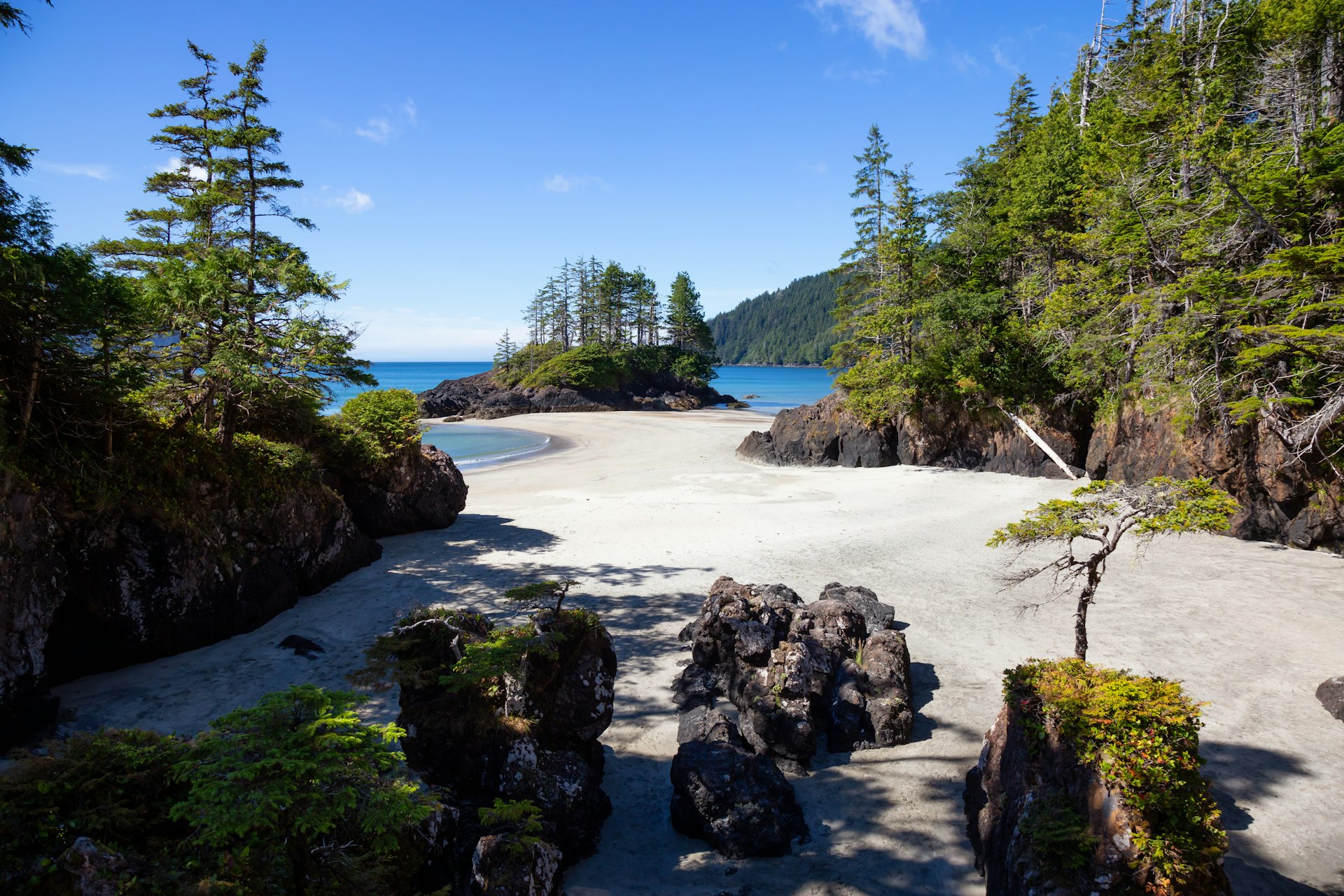 A beach surrounded by rocks and pine trees