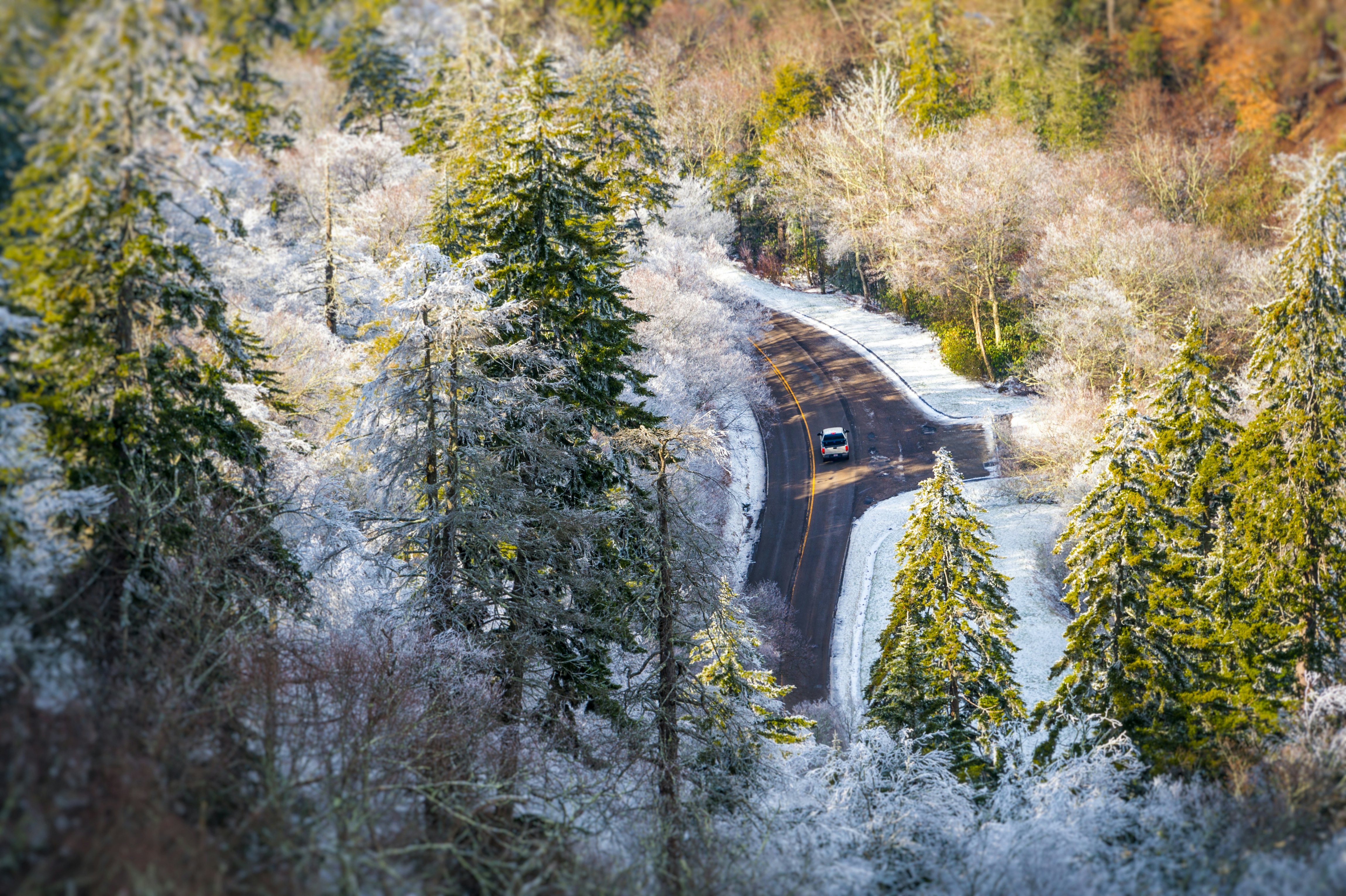 A view from above of a car driving through a forest with trees dusted in snow.