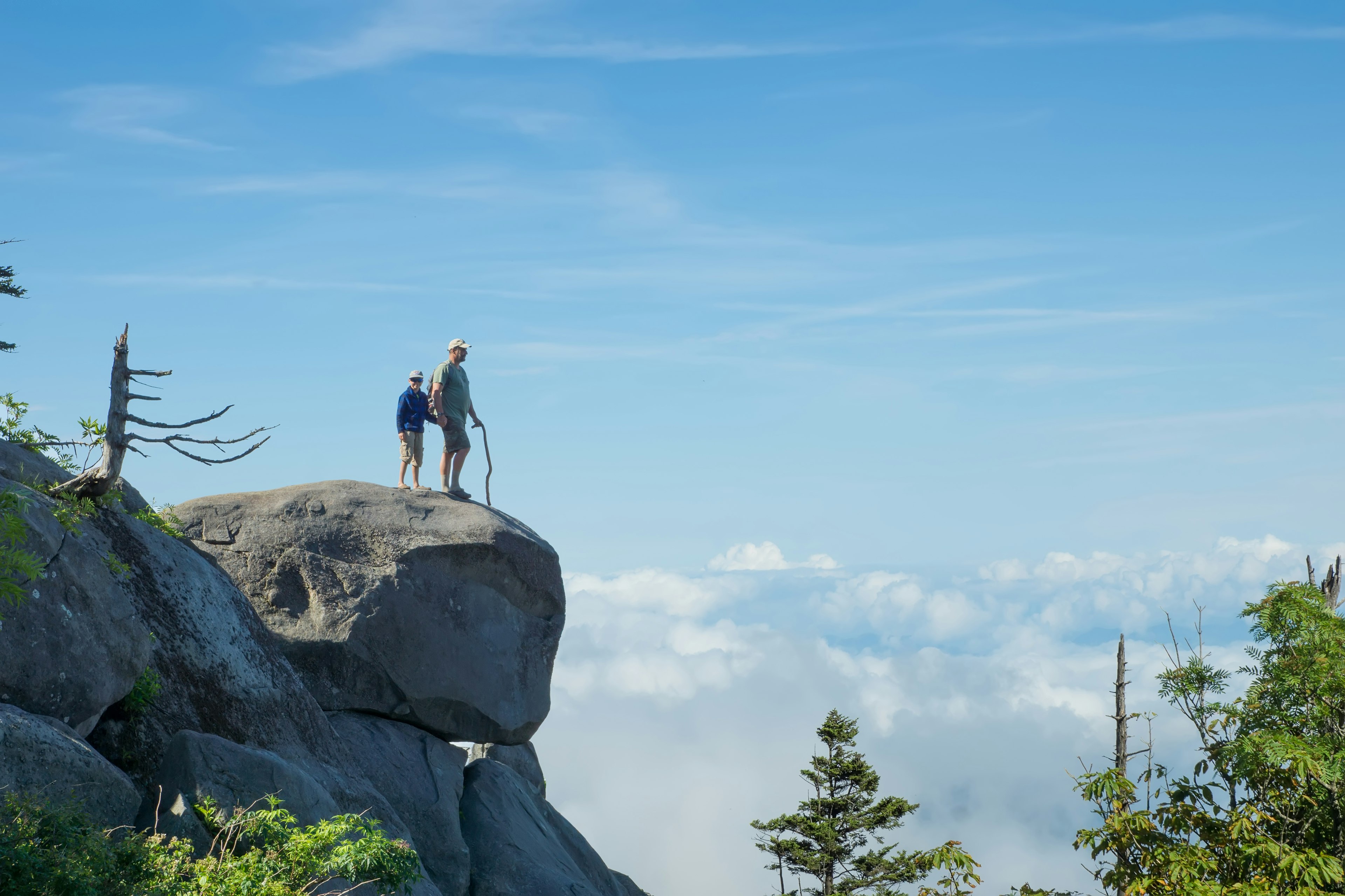 are dogs allowed in smoky mountain national park