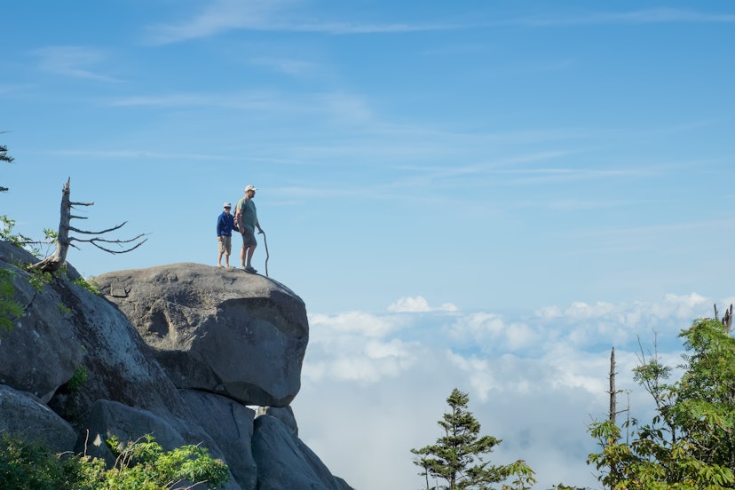 Above the clouds. Father and son on a rock in the National Park Great Smoky Mountains; Shutterstock ID 146553860; your: Claire Naylor; gl: 65050; netsuite: Online Ed; full: Great Smokey Mountains NP things to do
146553860