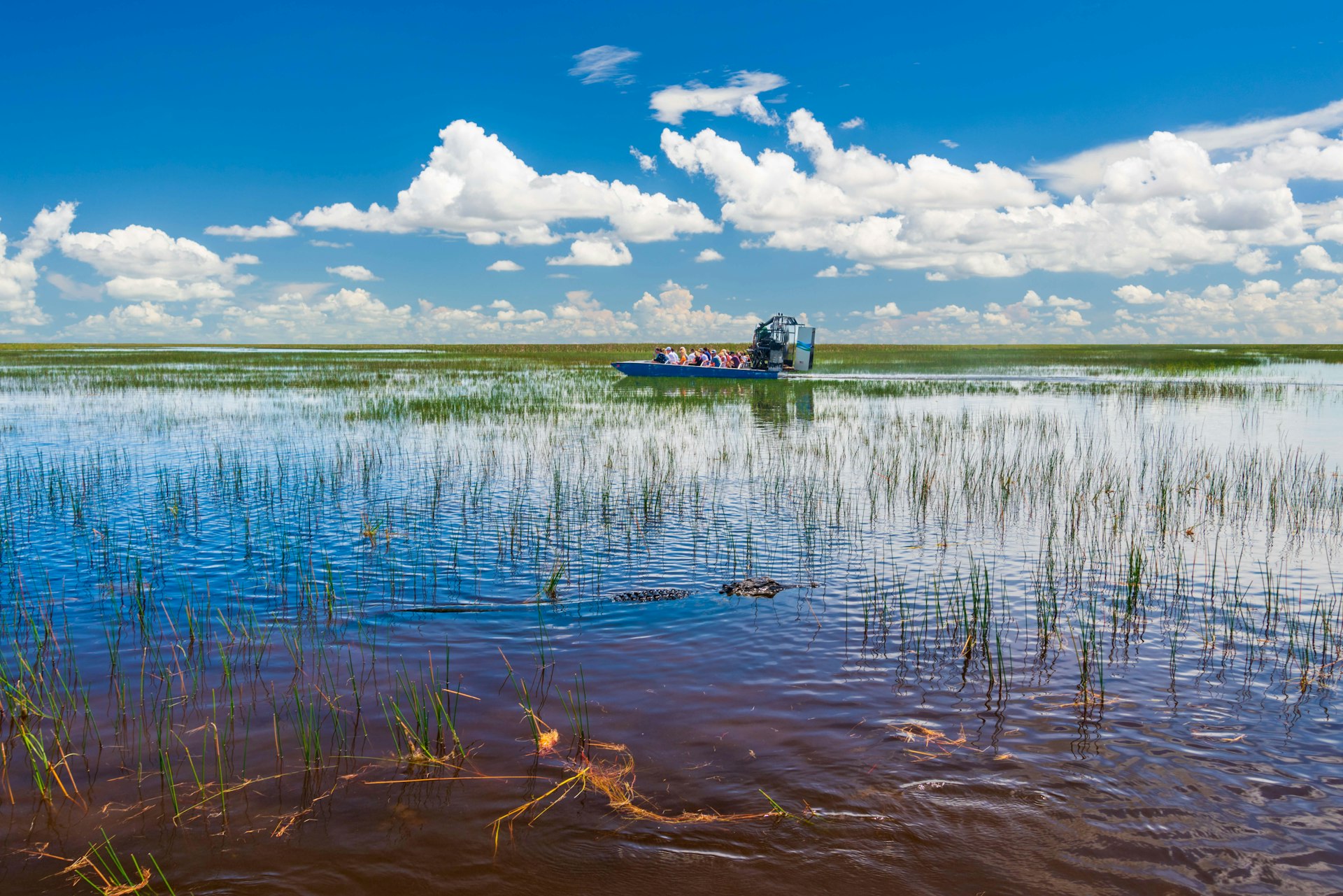 Blue skies are reflected in the still waters of the Everglades with tourists on an airboat seen in the distance