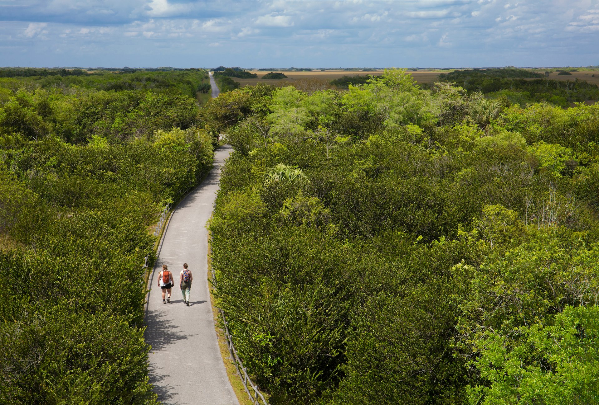 Two hikers stroll down a straight path that cuts through the dense undergrowth of Everglades National Park