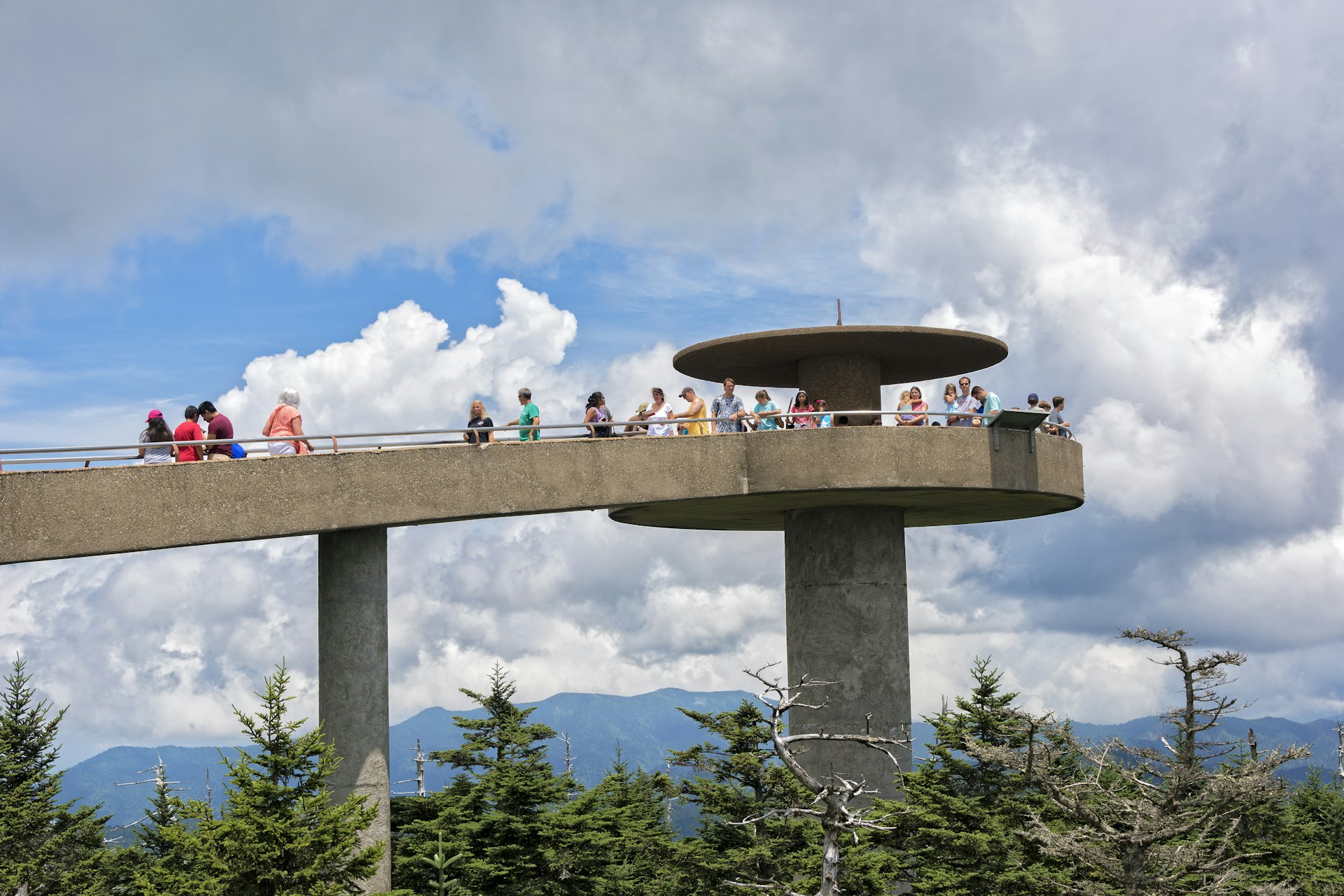 A sweeping concrete walkway leads to an observation tower high above the treeline in a national park
