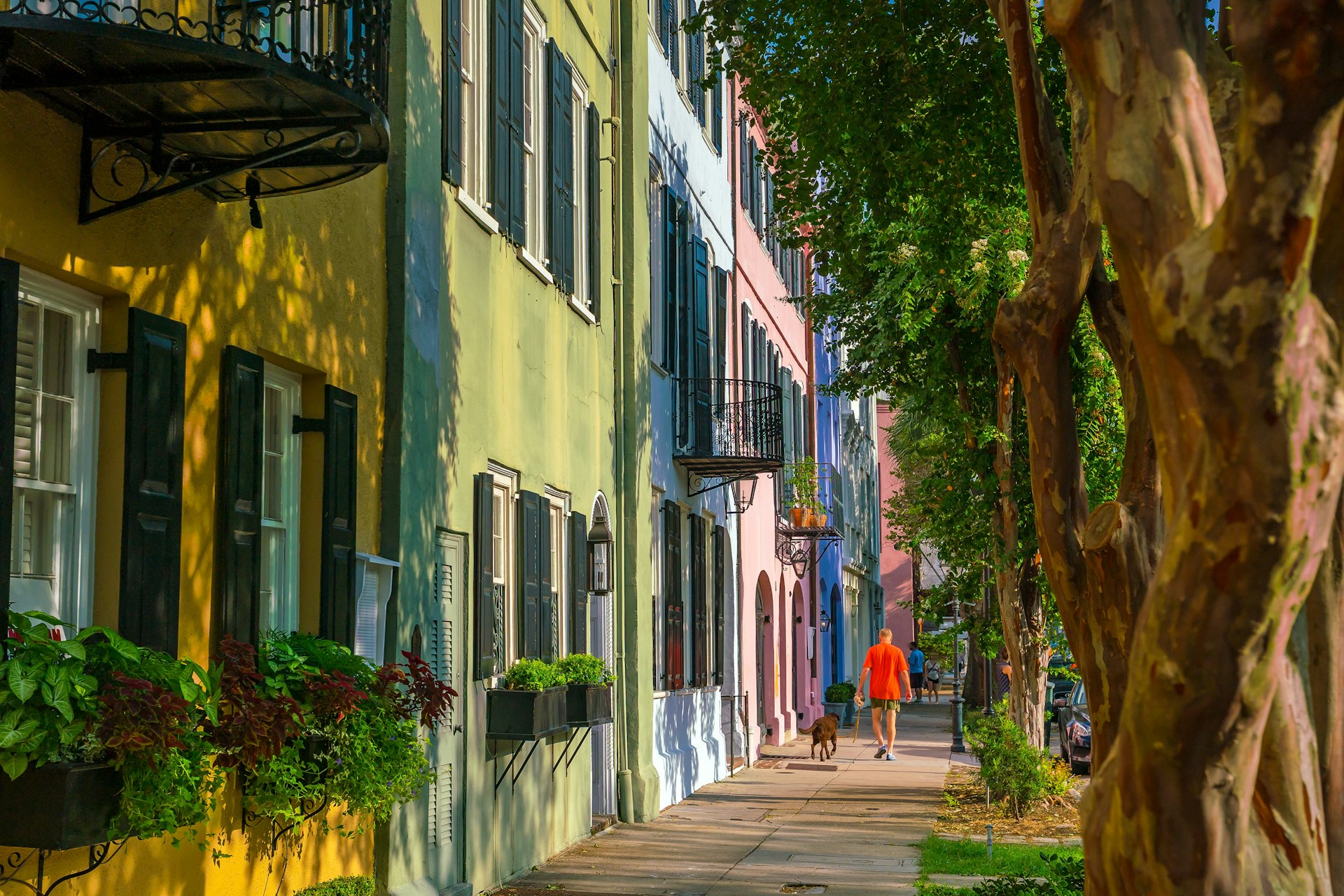 A man walks a dog by Rainbow Row, Charleston, South Carolina, USA