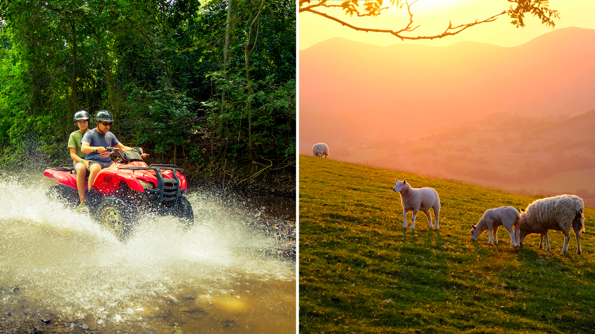 A split image which on the left shows two people riding a 4x4 quad bike in Costa Rica, and on the right is an image of Welsh mountain sheep standing on the hills above Llangollen, North Wales. 