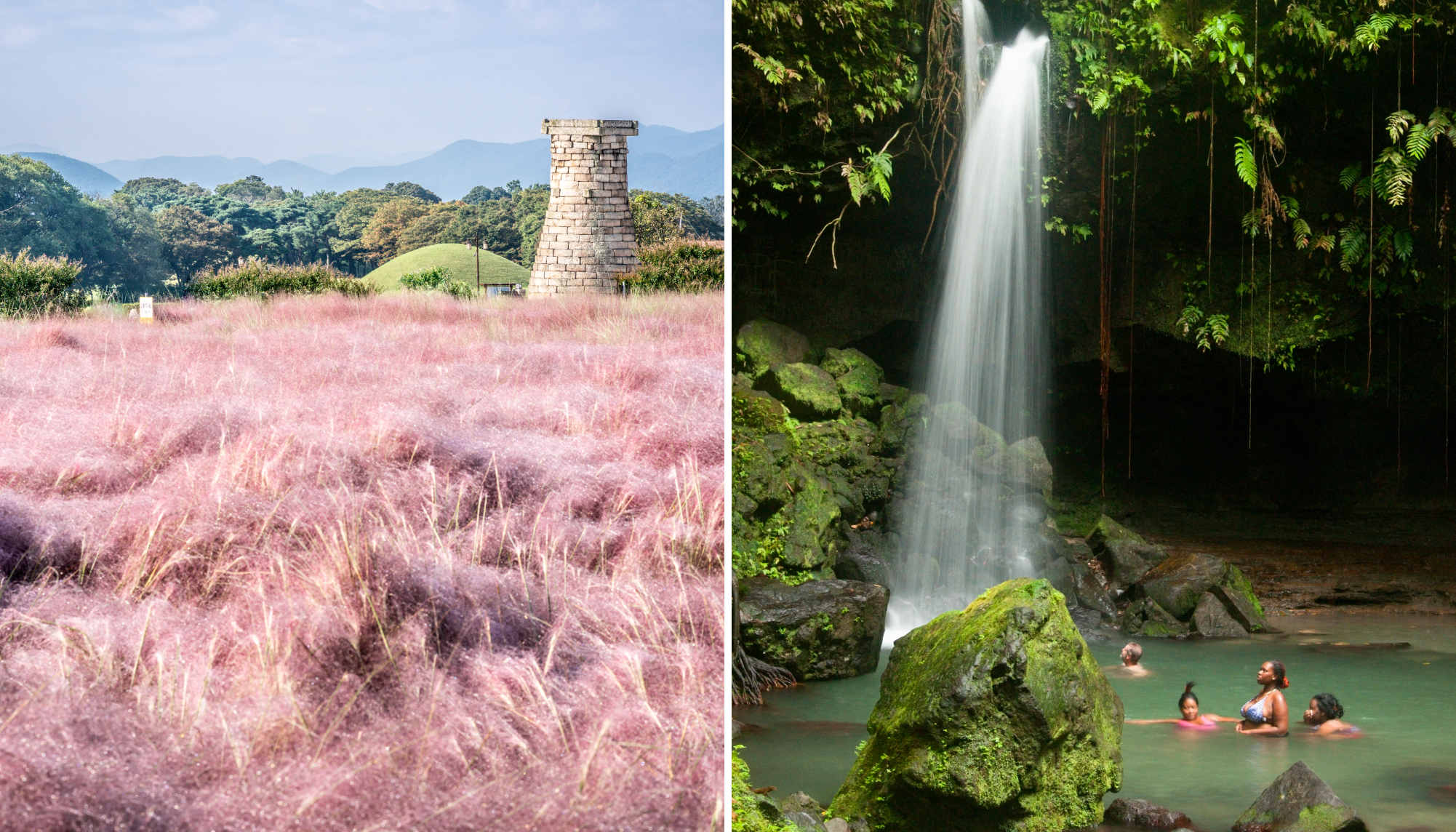 Field of Pink Muhly grass and Cheomseongdae an ancient Astrological Observatory in Gyeongju South Korea, Emerald Pool in Dominica 