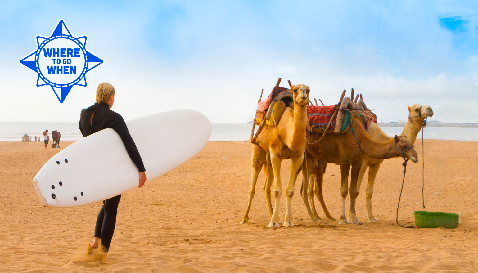 Female surfer and camels at the beach of Essaouira, Morocco, Africa.