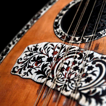 2E6AXR9 Detail of a 19th century laghouto, or lute, inlaid with ivory and tortoise shell, displayed at the Museum of Greek Folk Musical Instruments (MELMOKE) in Athens February 15, 2015. Tucked away in a corner of Athens' historic Plaka district is the small MELMOKE where visitors are treated to rows of wood and bone flutes, pottery drums called toumbeleki, and gaida - bagpipes made of sheep or goat skins. The laghouto is said to have been made by luthier Manolis Venios of Constantinople (present day Istanbul), a master craftsman whose works now sell for many thousands of dollars. Picture taken Februa
2E6AXR9
MUSIC, GREECE, MUSEUM