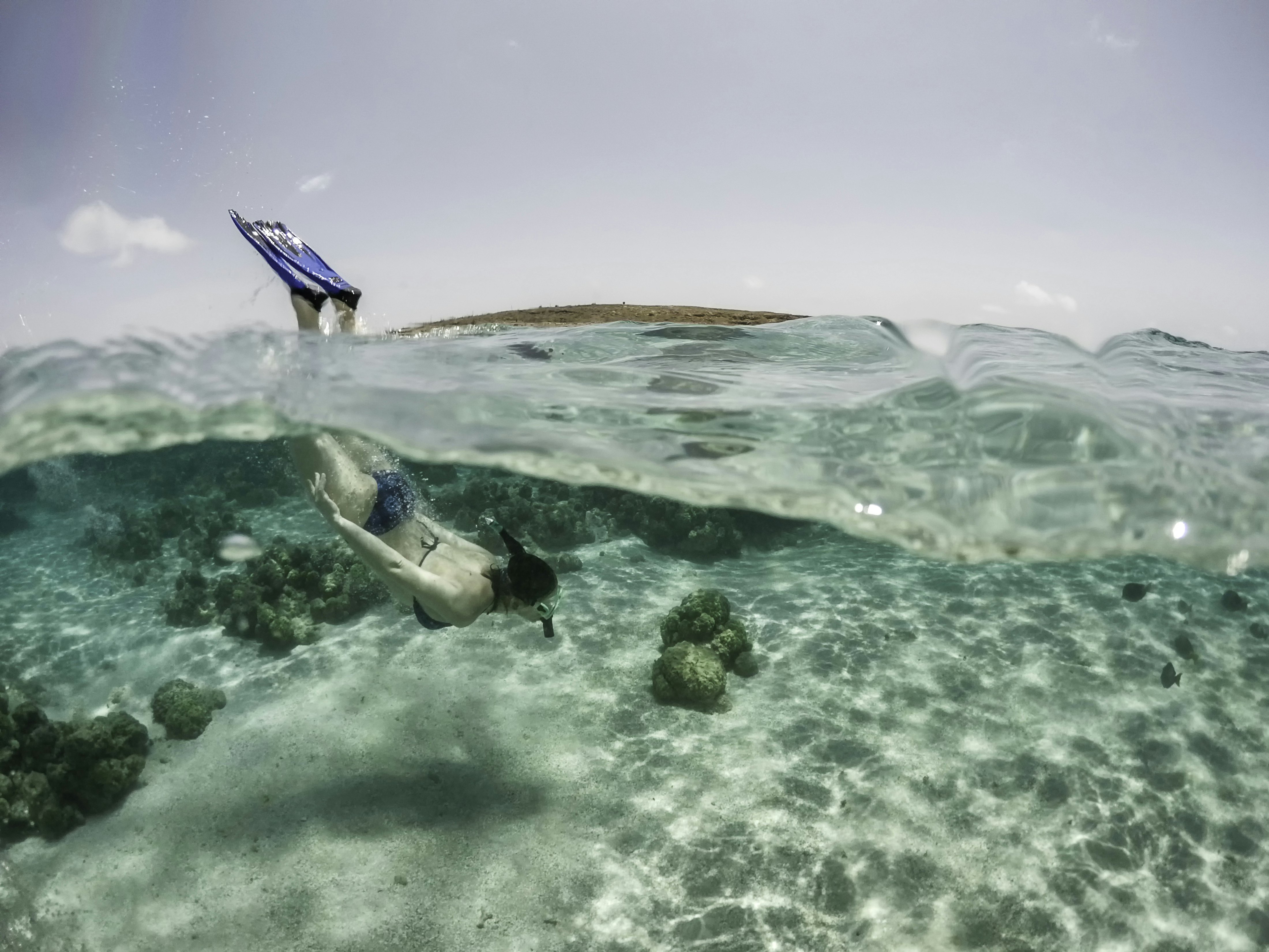 Split frame view of woman in a snorkel mask and fins swimming in the clear sea, Aruba