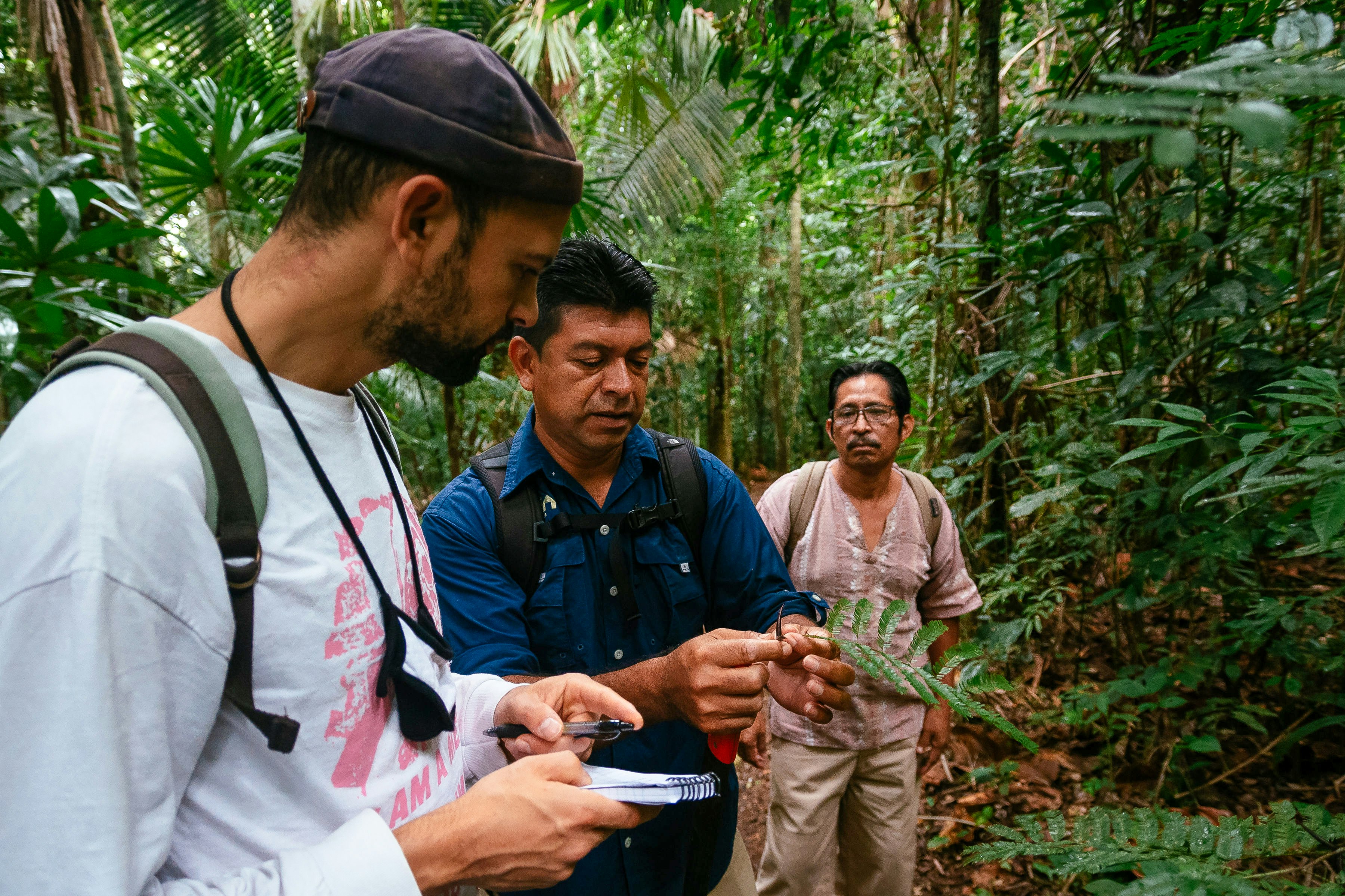 Guided tour of Elijio Panti National Park with a practicing Mayan healer who’s well-versed in the native flora.