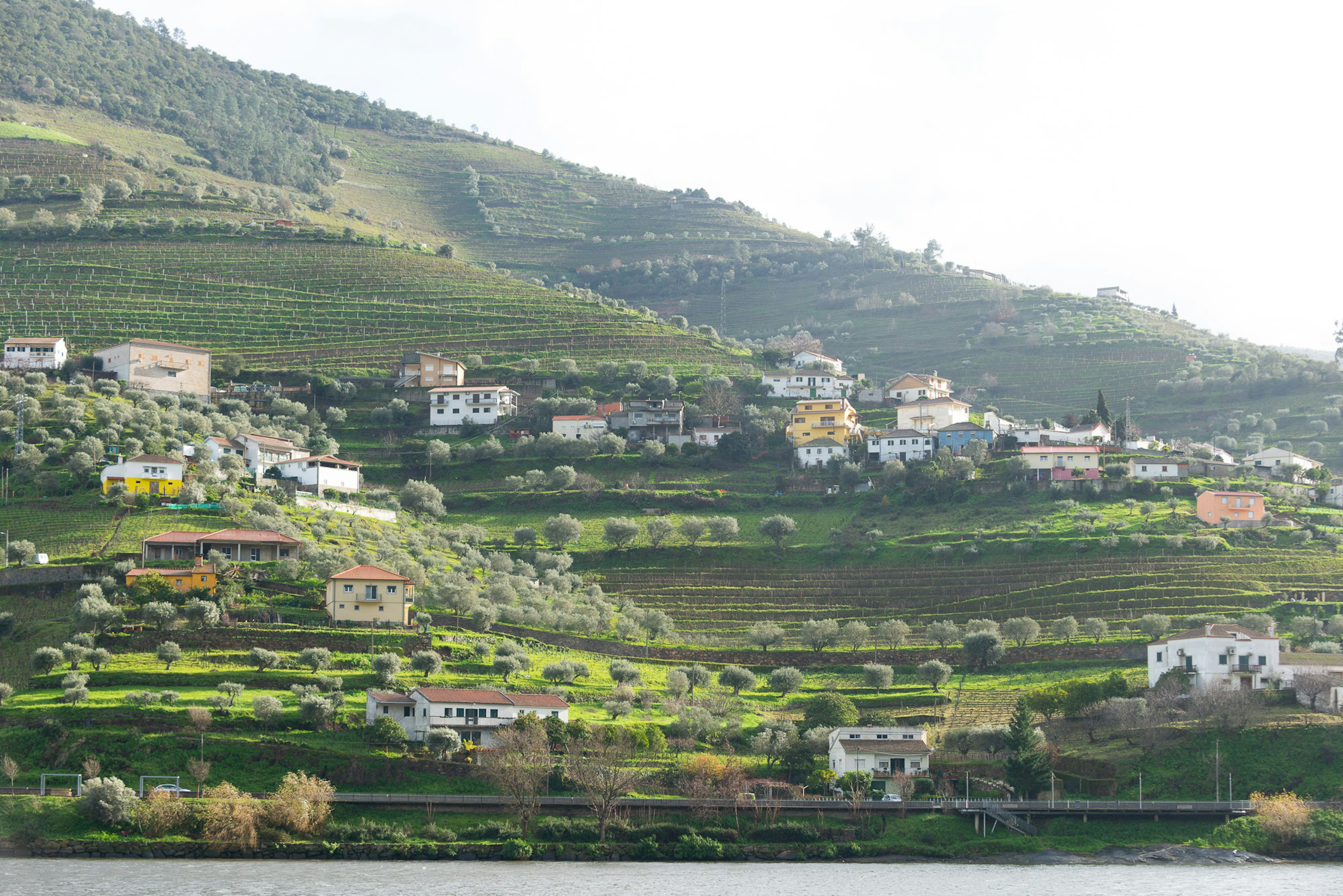 Duoro Valley viewed from the train