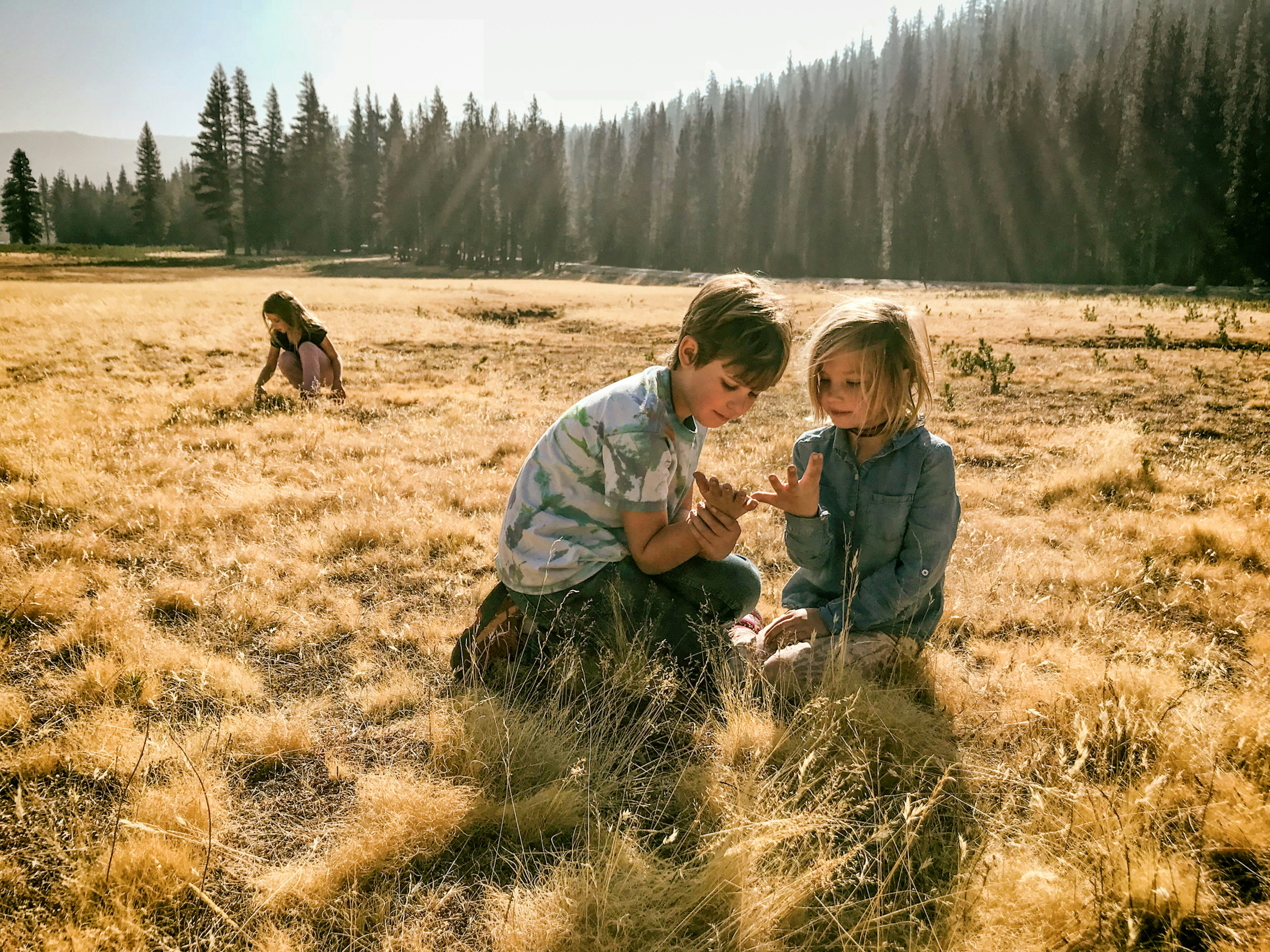 Three kids in a meadow crouch down looking at their mucky hands