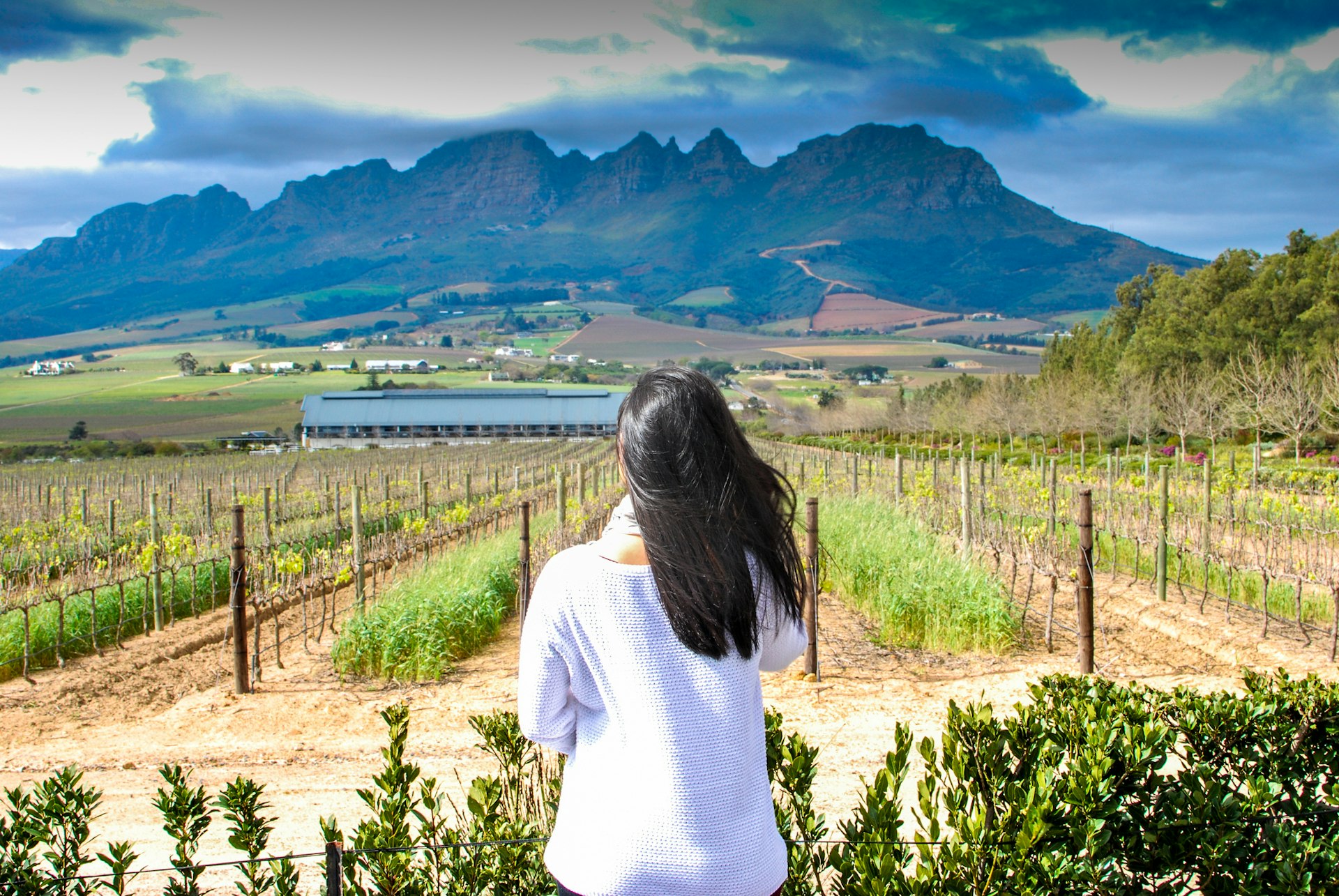 A woman gazes out at a rural landscape covered in vines with a mountain rising in the distance