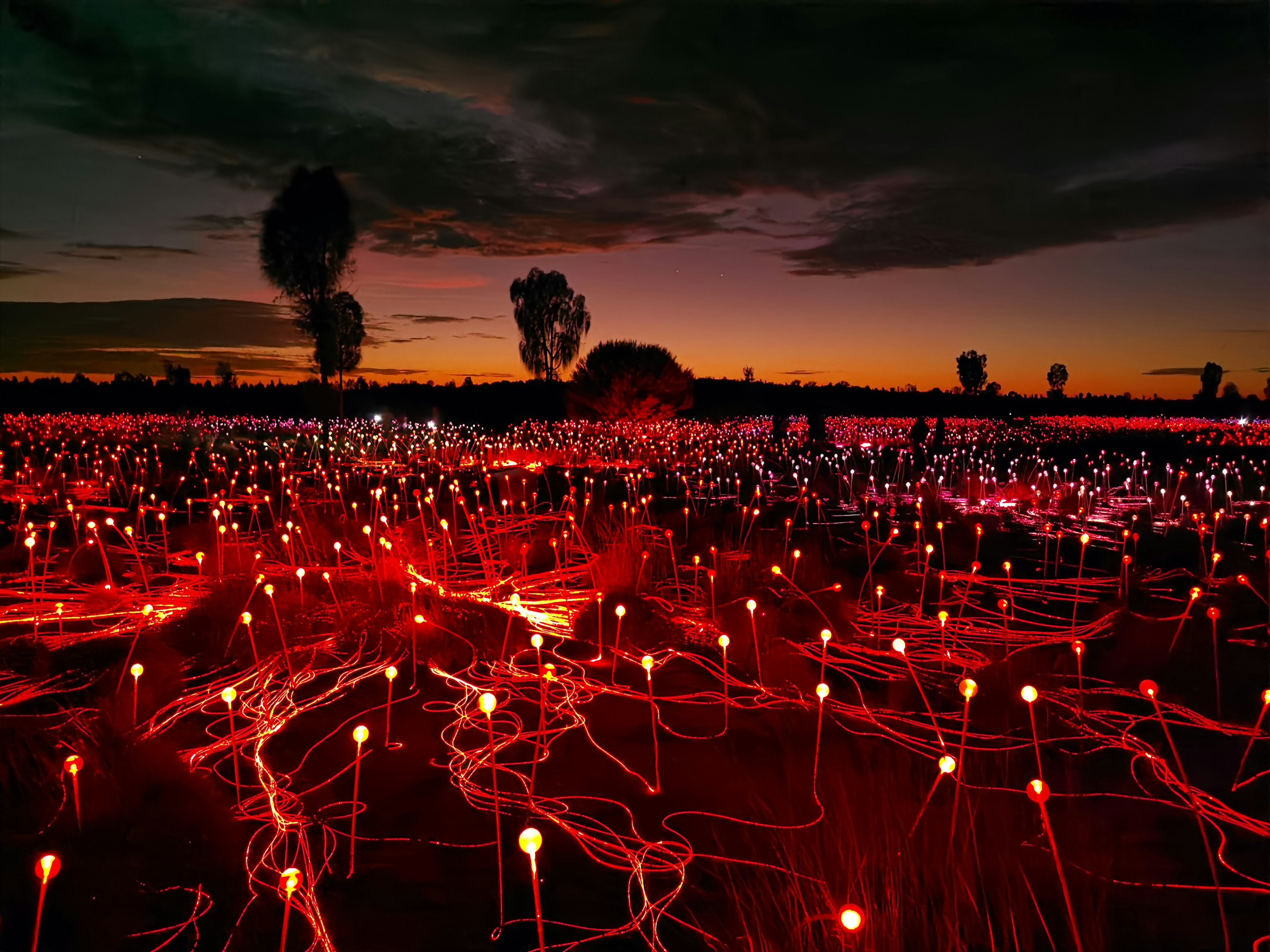 “The Field of Light” installation by Bruce Munro at Uluru, Northern Territory, Australia