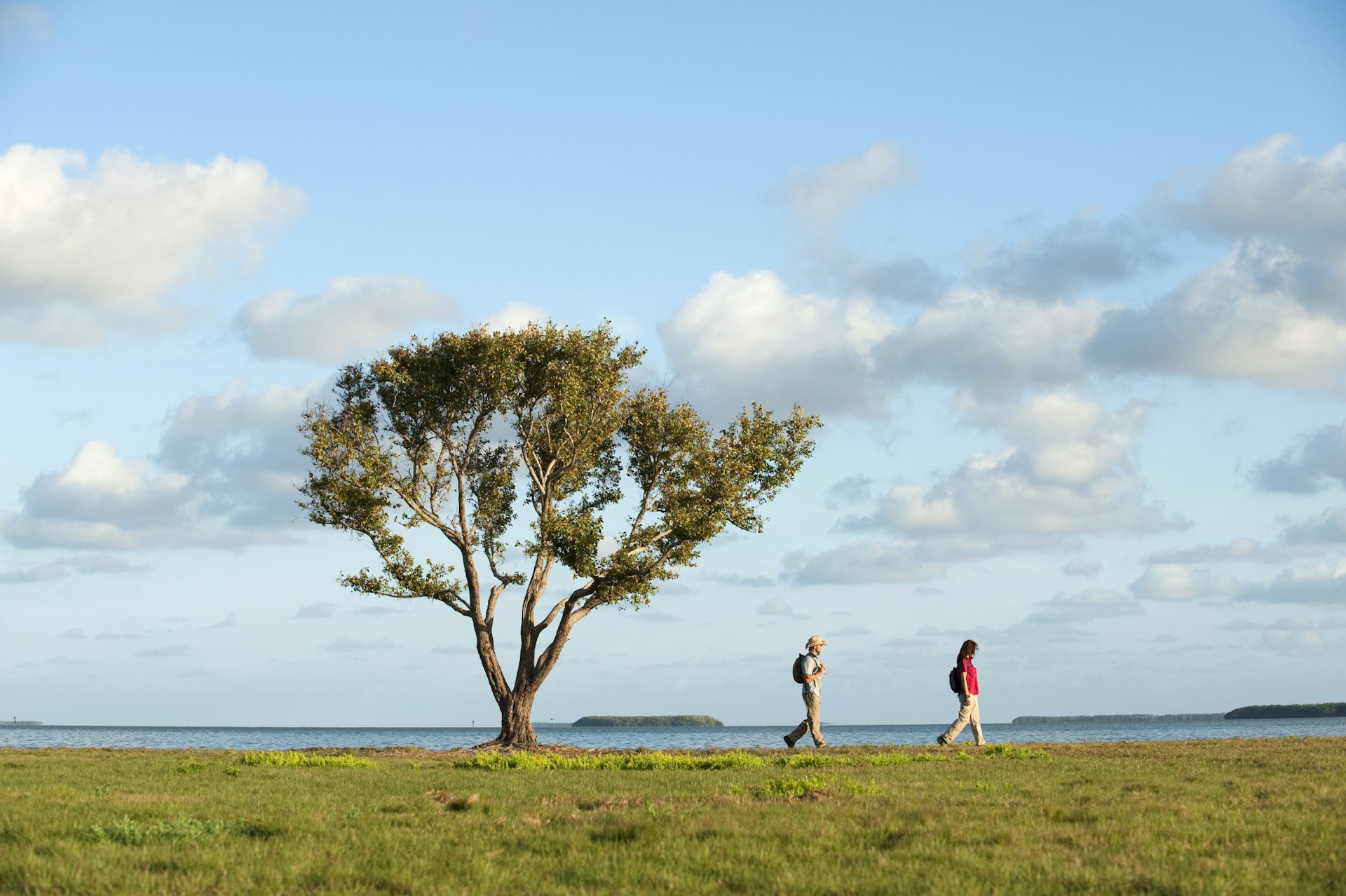 Two people hiking under a tree in Everglades National Park, Florida, USA