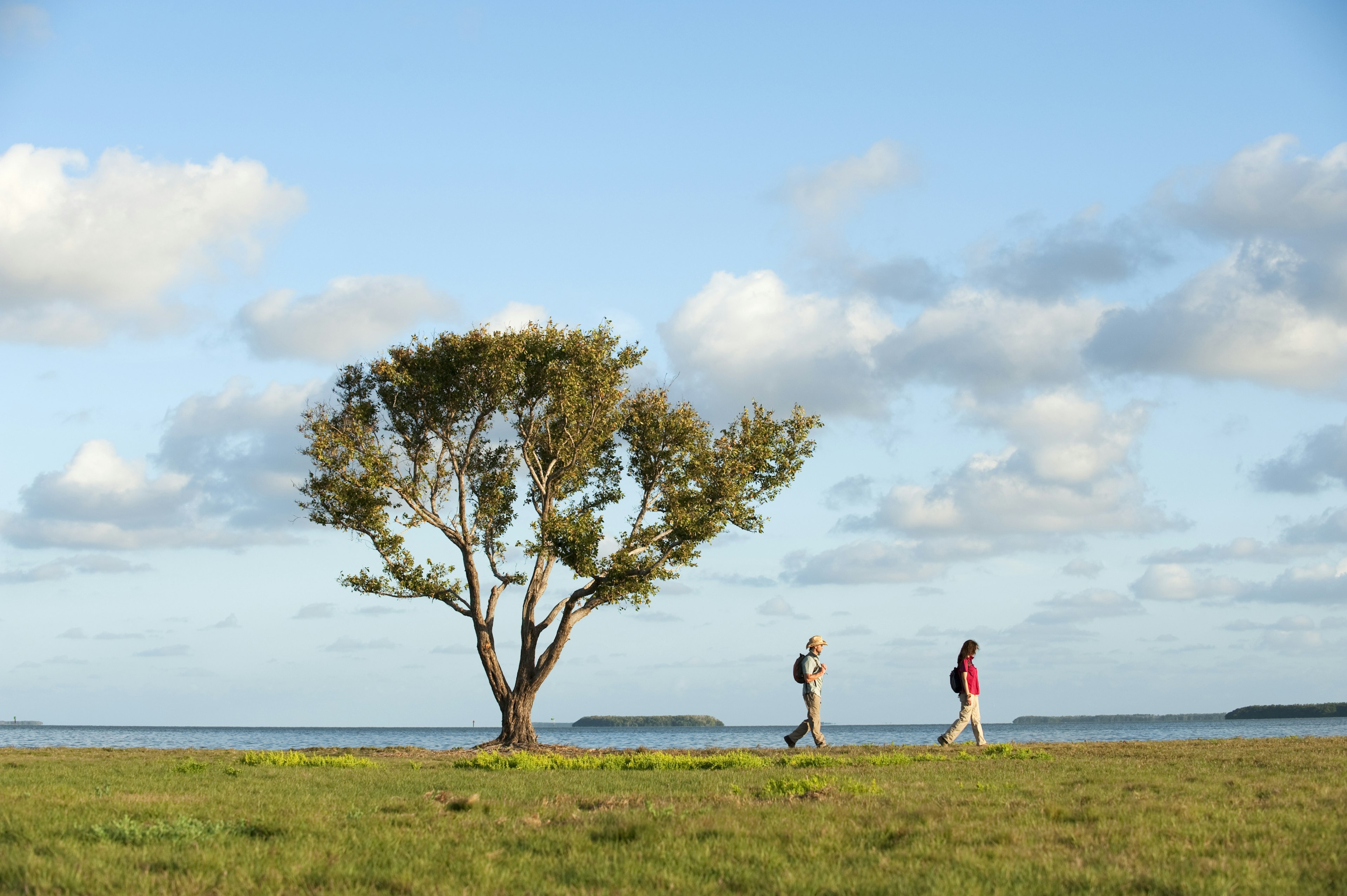 Two people hiking under a tree in Everglades National Park, Florida, USA