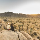 Dating couple in love sitting on rock overlooking Joshua Tree National Park desert
1373216468