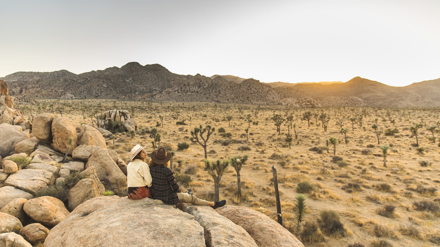 Dating couple in love sitting on rock overlooking Joshua Tree National Park desert
1373216468
