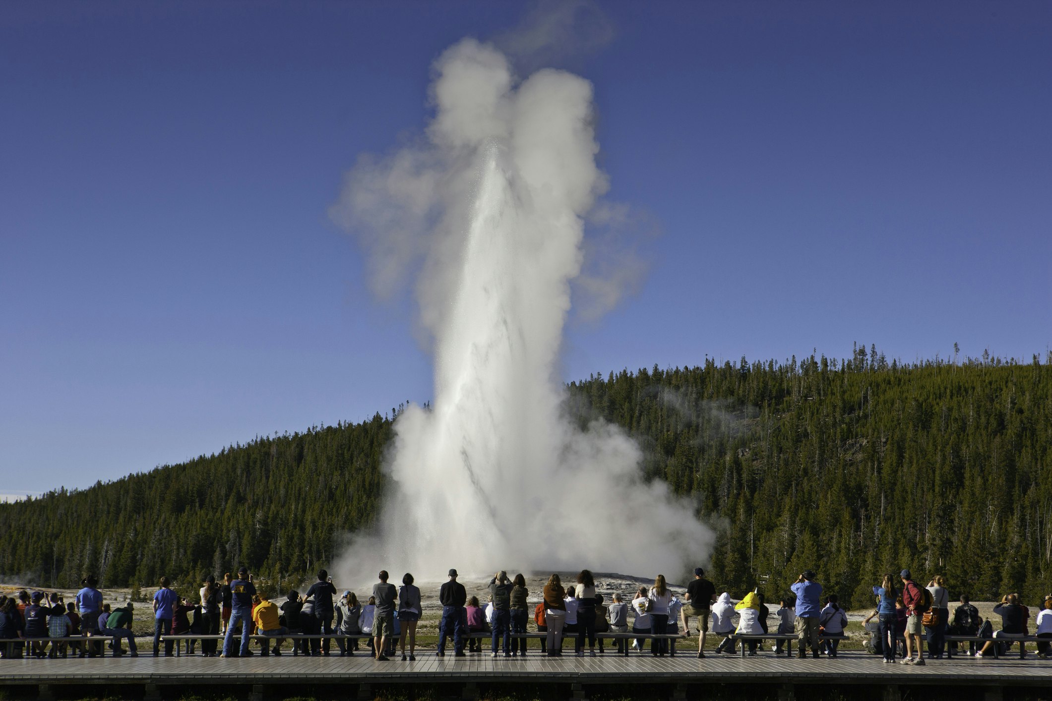 Tourists watching steam and water shooting upwards from Old Faithful, a famous geyser at Yellowstone National Park